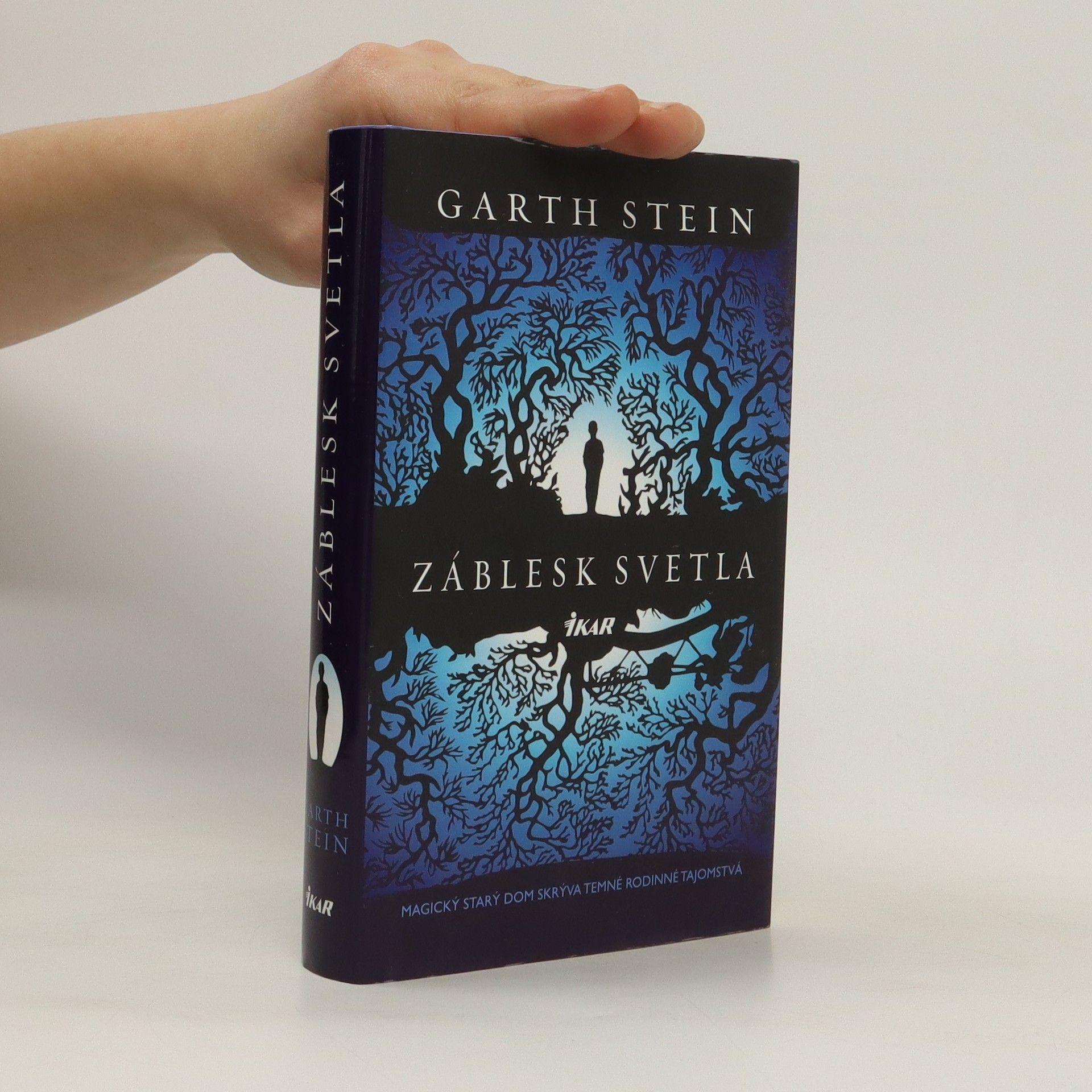 Garth Stein Záblesk svetla