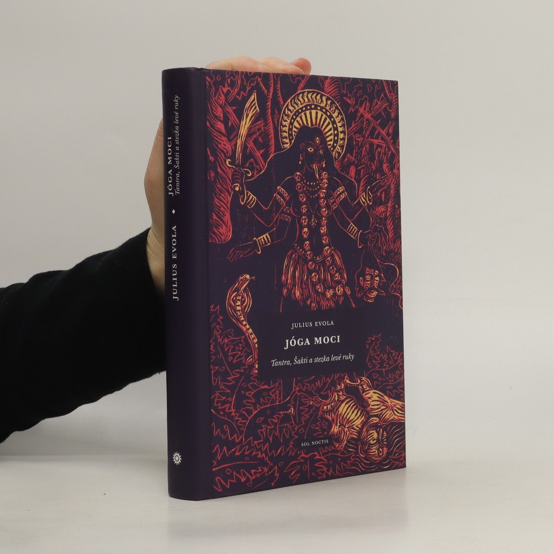 Julius Evola Jóga moci: Tantra, Šakti a stezka levé ruky