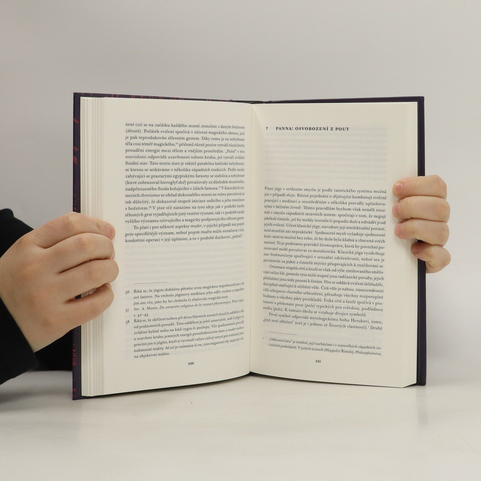 Julius Evola Jóga moci: Tantra, Šakti a stezka levé ruky