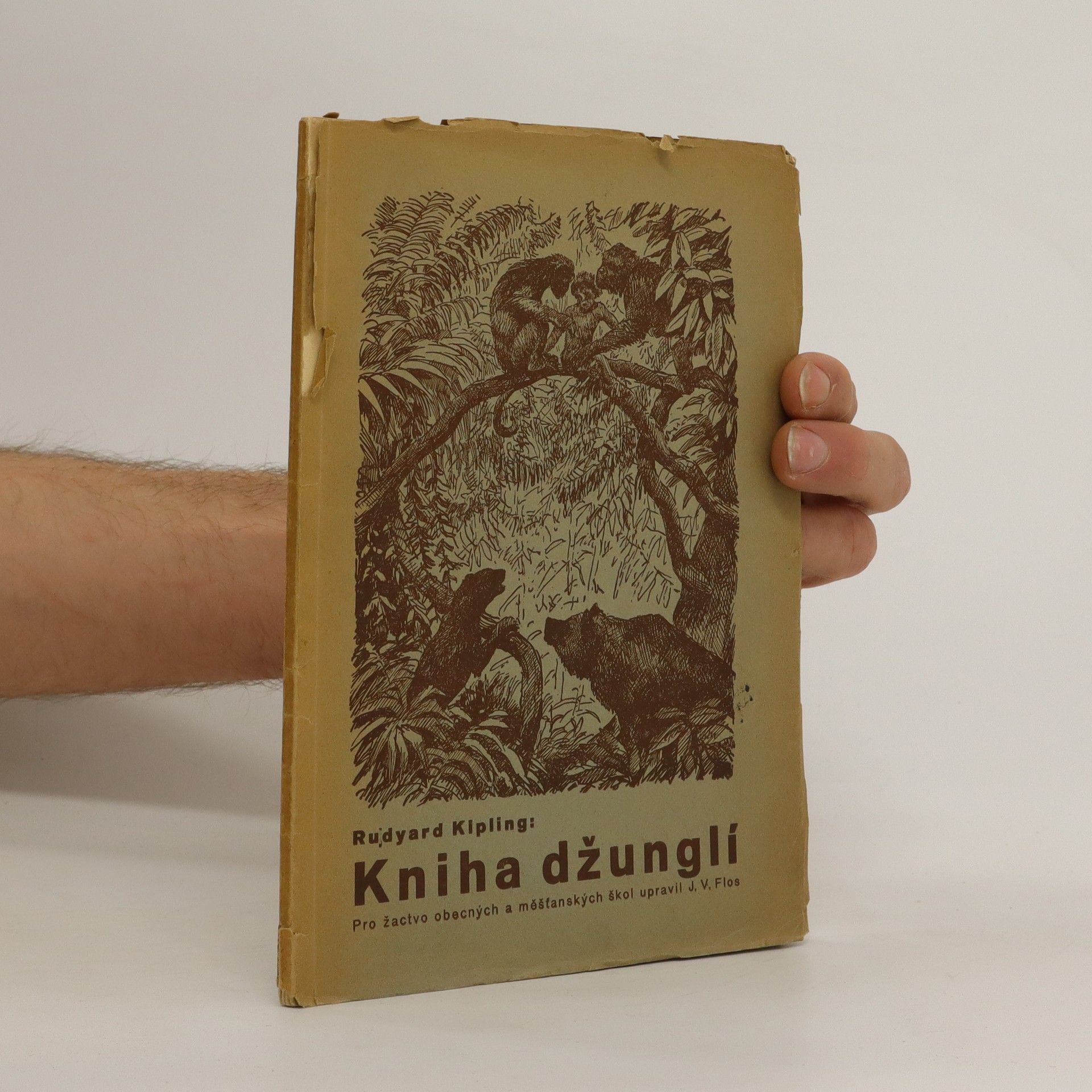 Rudyard Kipling Kniha džunglí