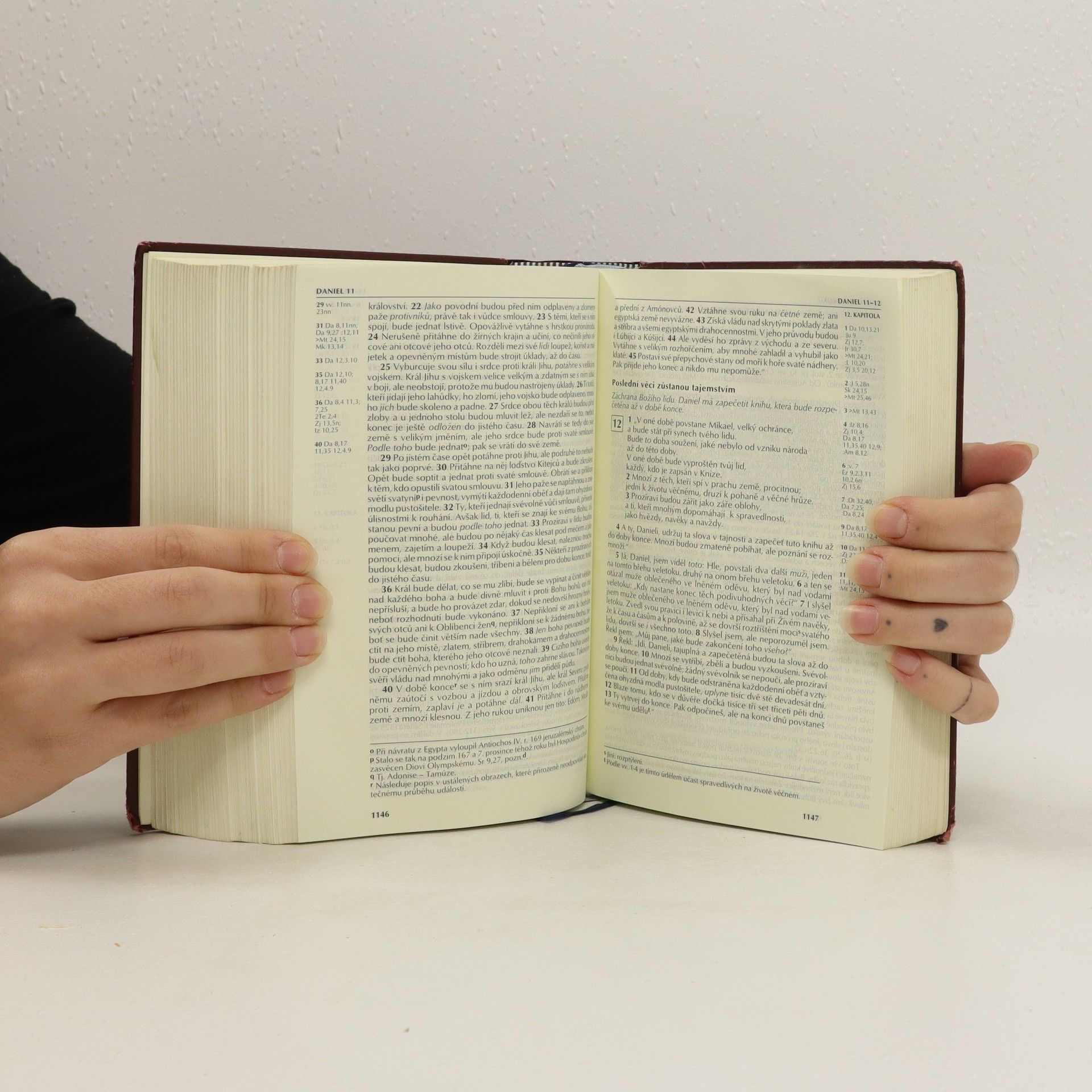 Miloš Bič Bible (český ekumenický překlad)