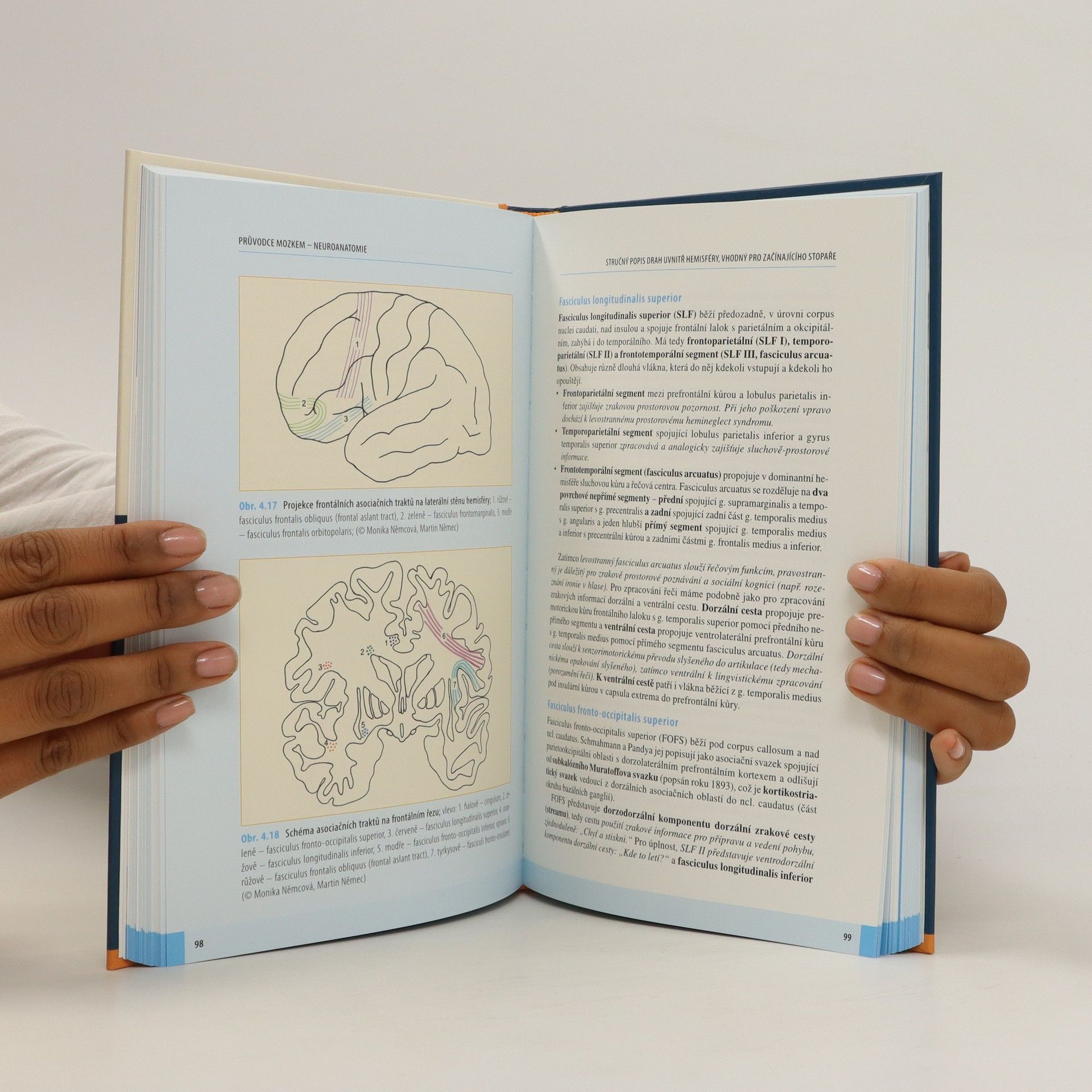 Robert Bartoš Průvodce mozkem - Neuroanatomie