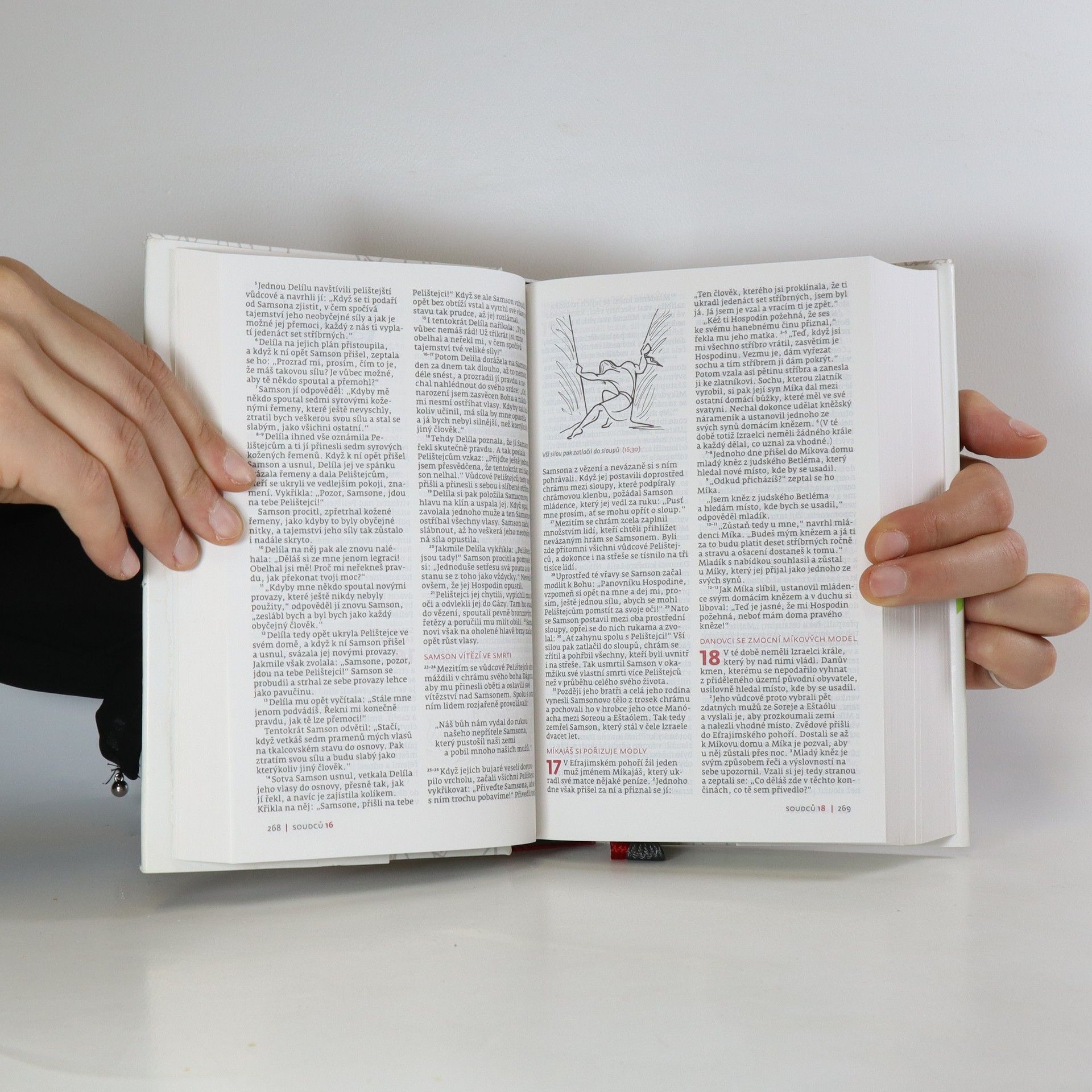 Kolektiv autorů Slovo na cestu : Bible s ilustracemi