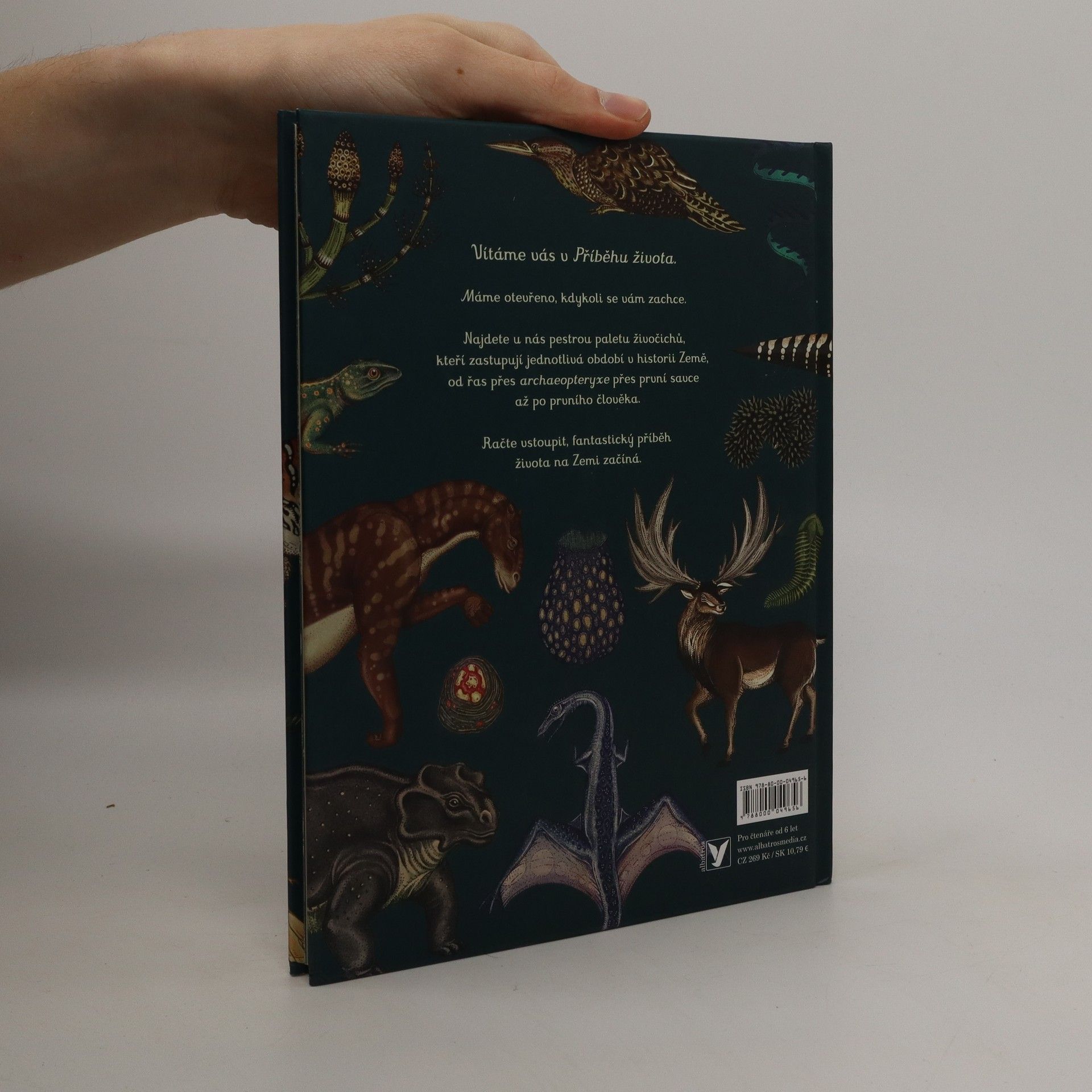 Fiona Munro Příběh života: Evoluce
