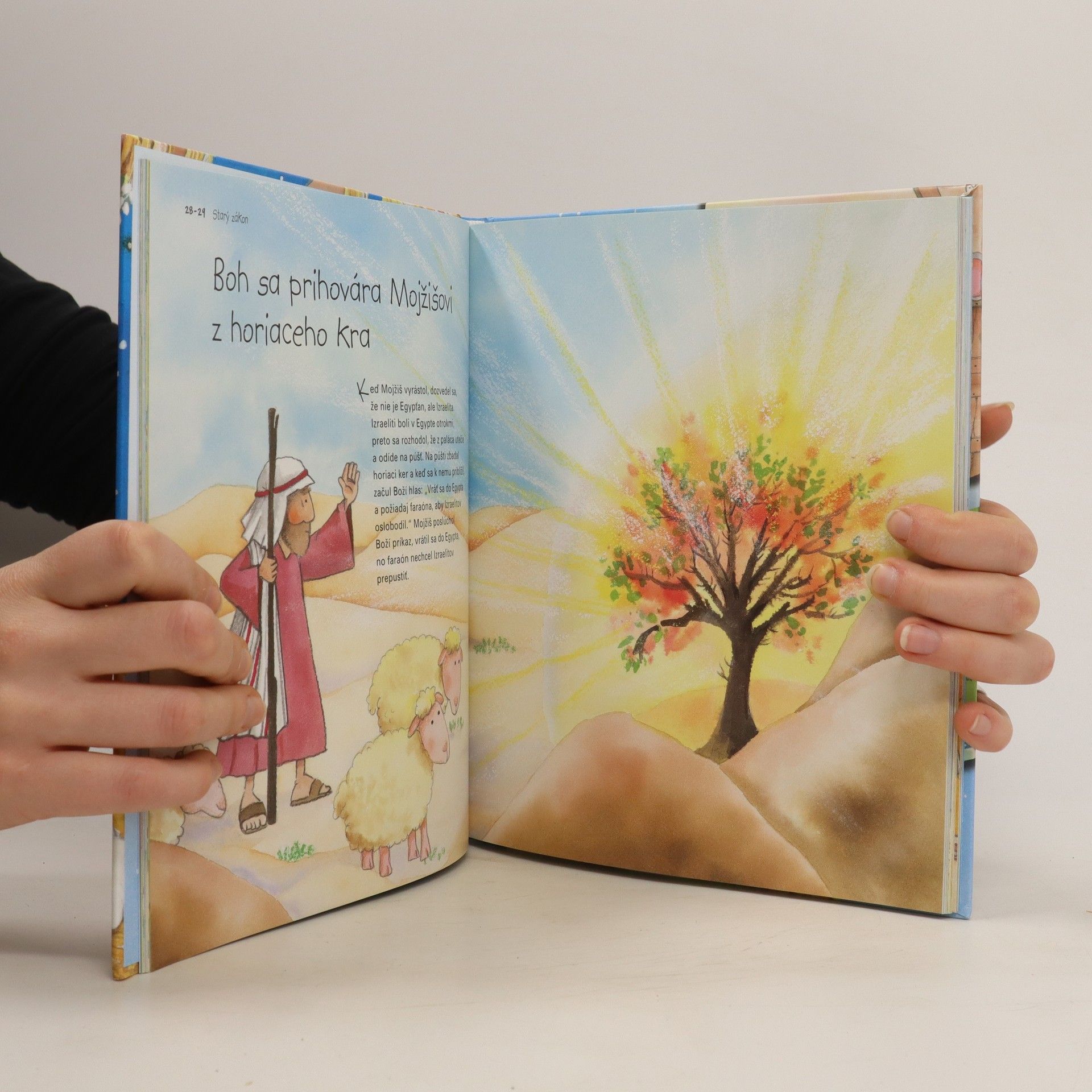Mercé Segarr Biblia na dobrú noc