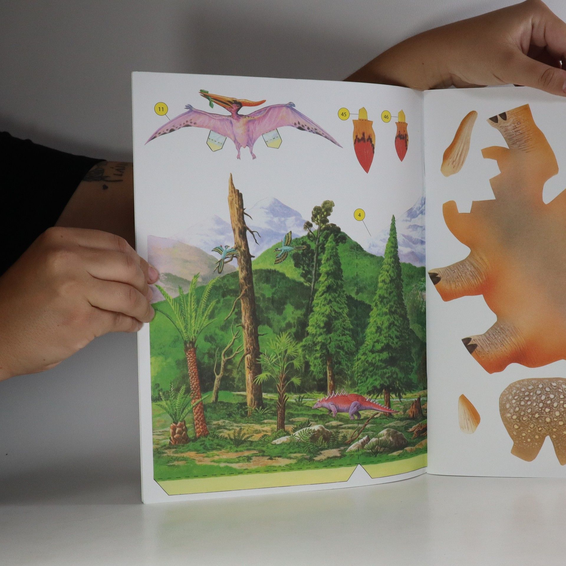 Various authors Dinosauři. Vyrobte si úžasné trojrozměrné modely!