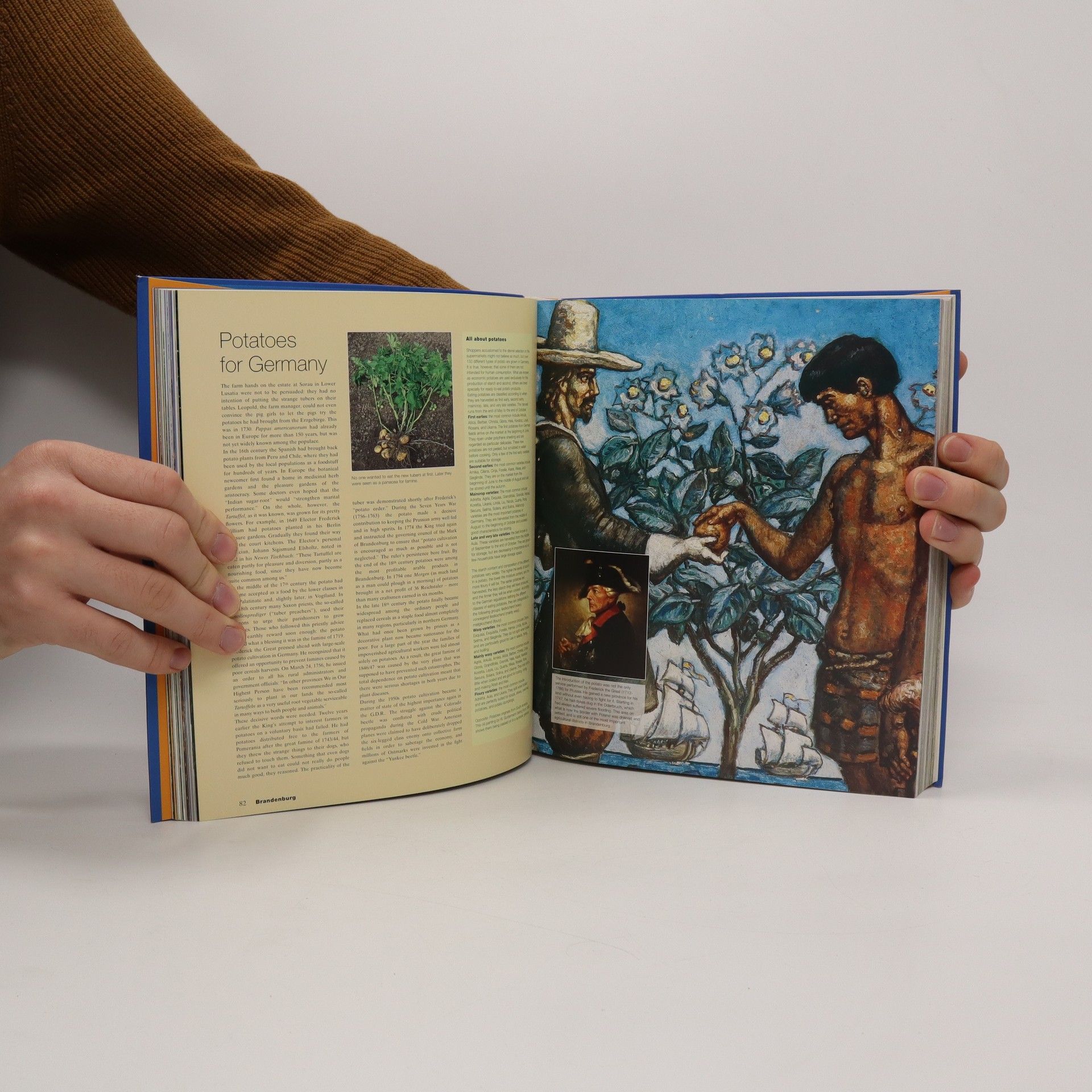Autores varios Culinaria - Germany