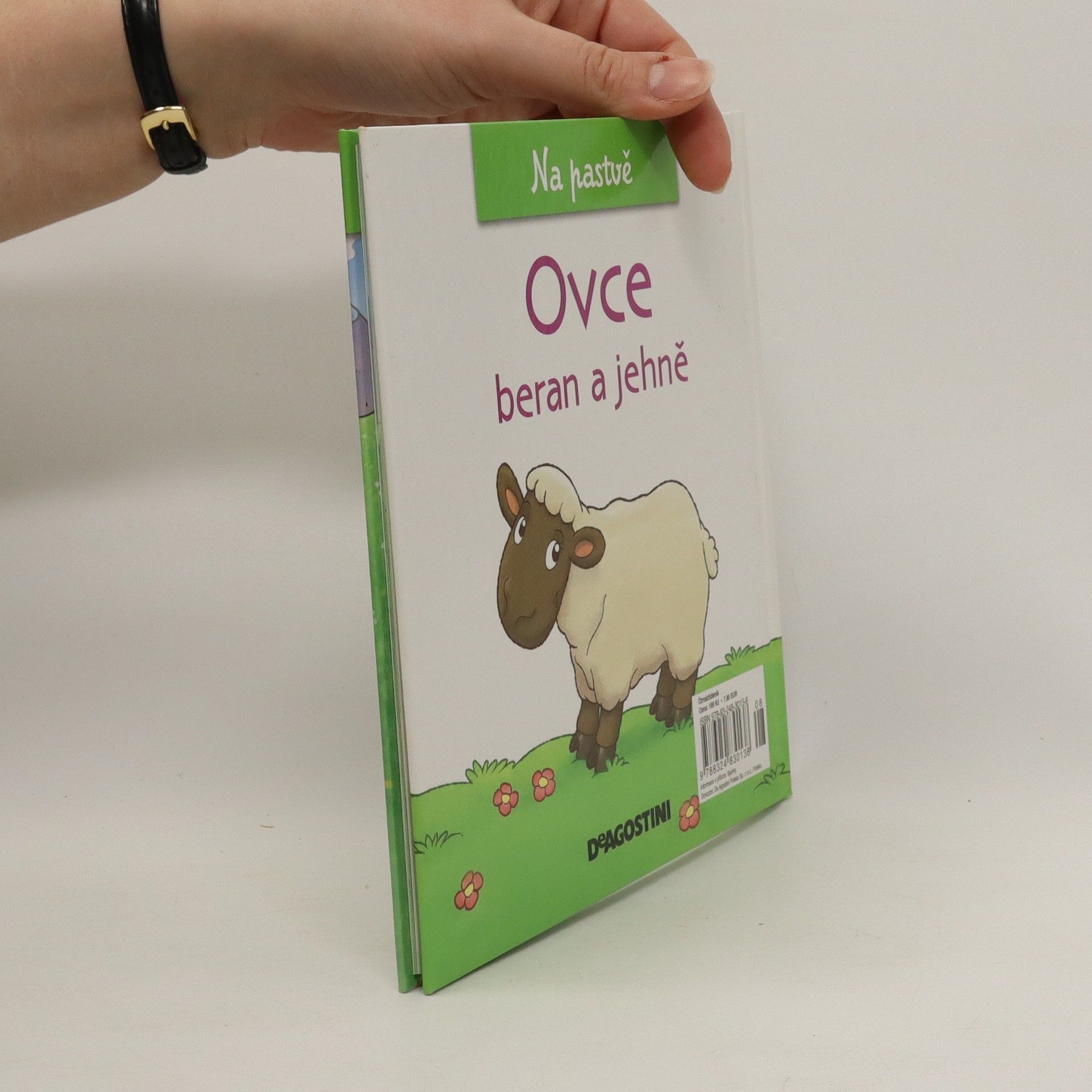 Autorenkollektiv Na pastvě 53. Ovce