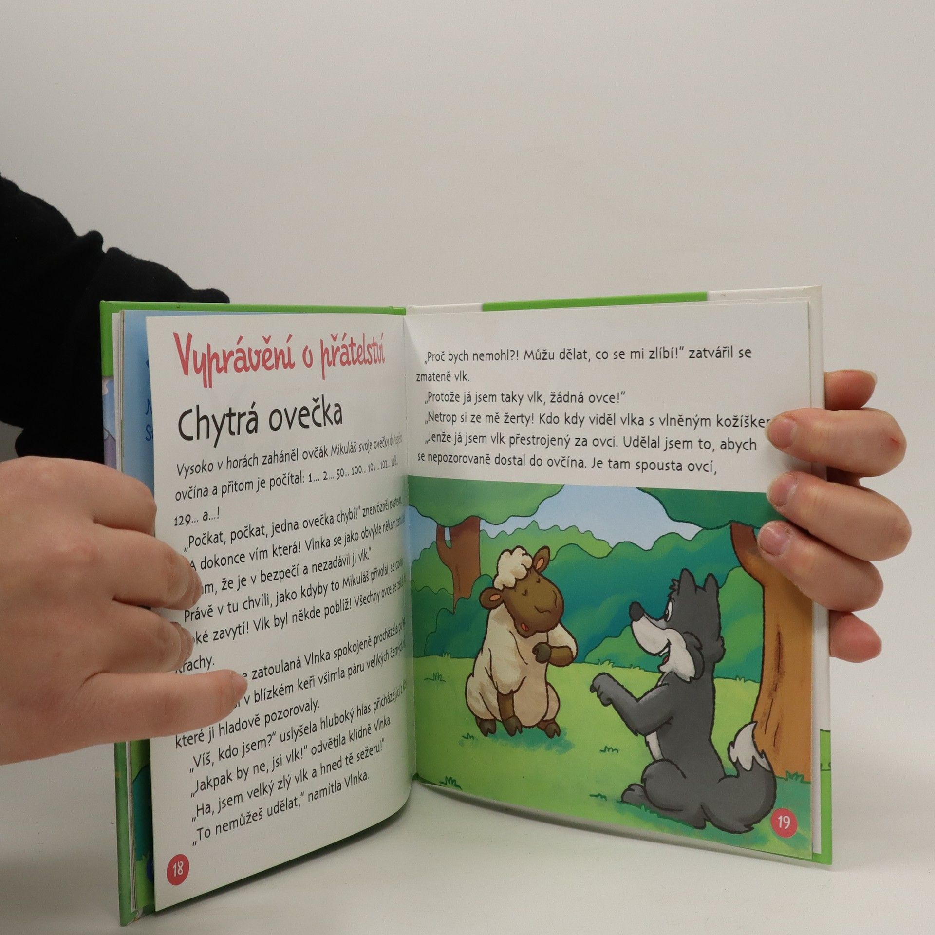 Autorenkollektiv Na pastvě 53. Ovce