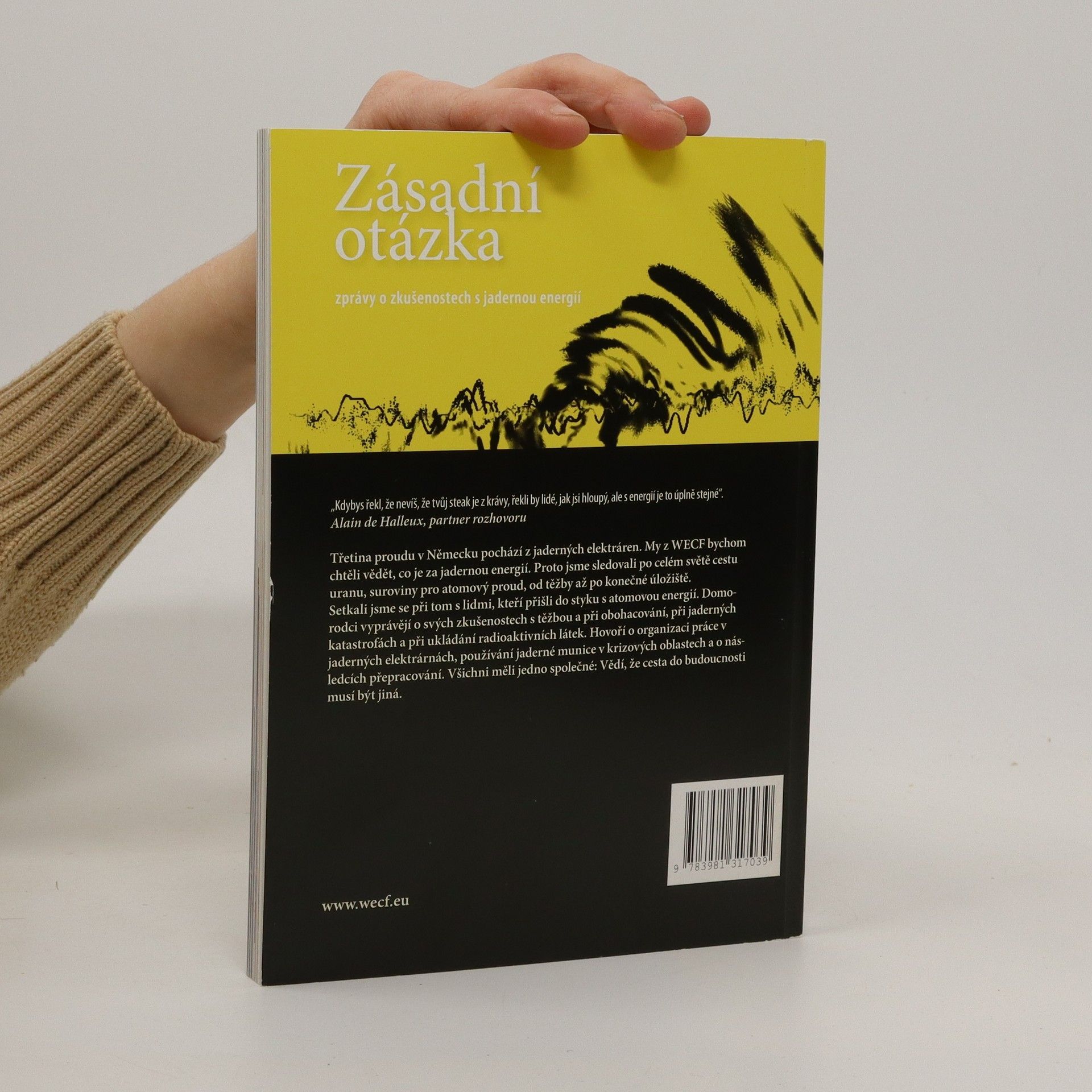 Kolektiv autorů Zásadní otázka: Zprávy o zkušenostech s jadernou energií