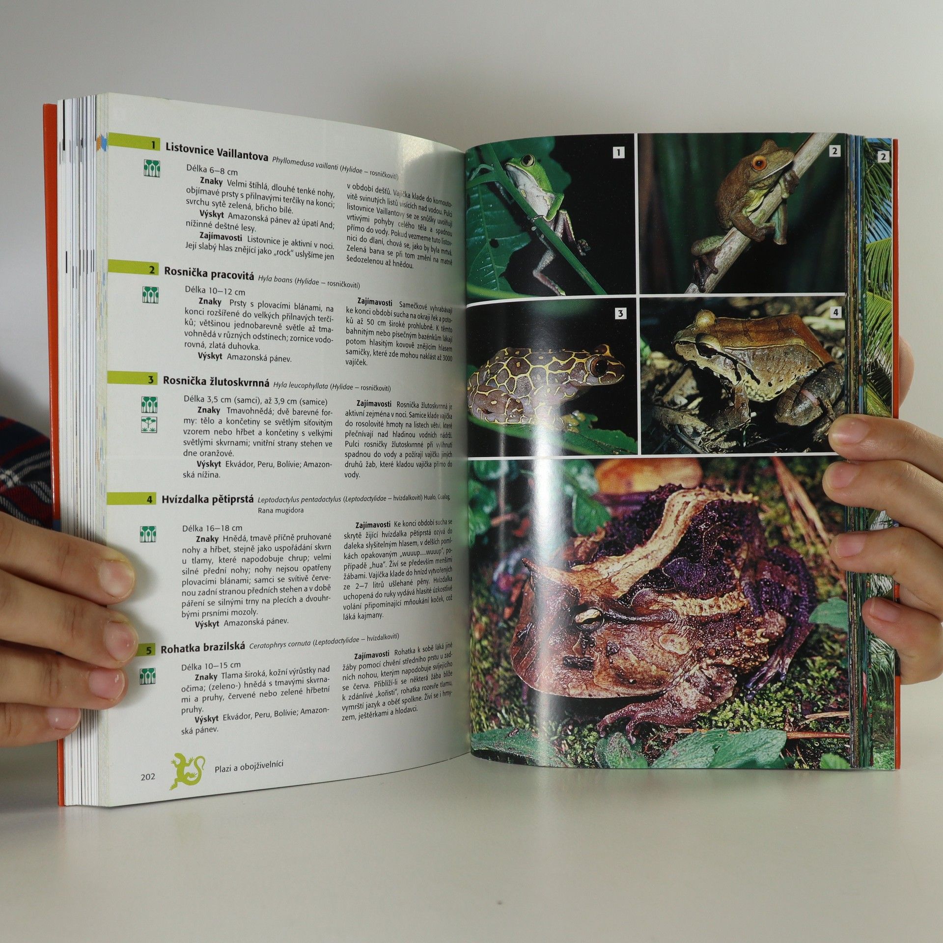 Rainer Waterkamp Peru, Bolívie, Ekvádor, Galapágy. Cestování a kultura, poznávání zvířat a rostlin