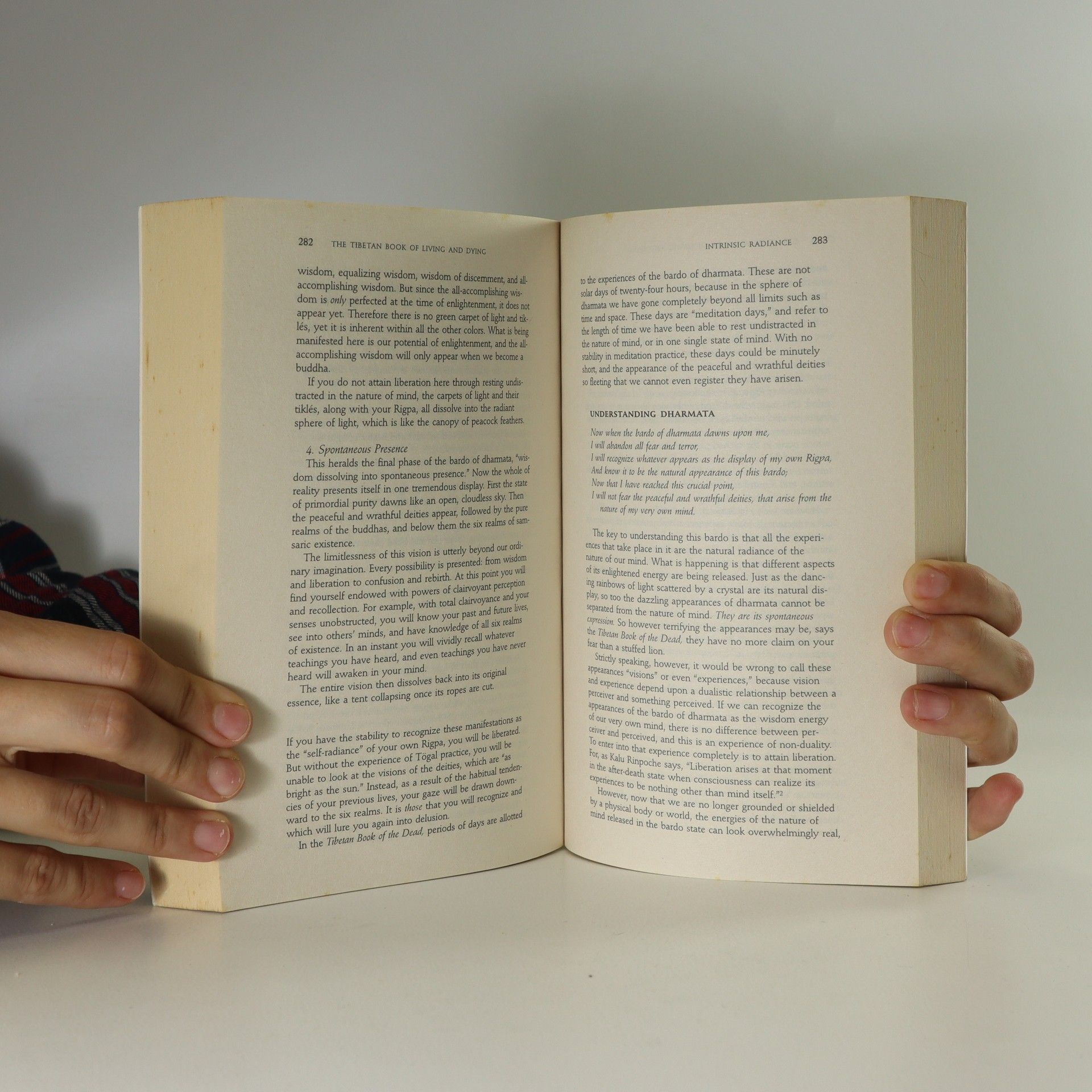Sogyal Rinpoche The Tibetan book of living and dying