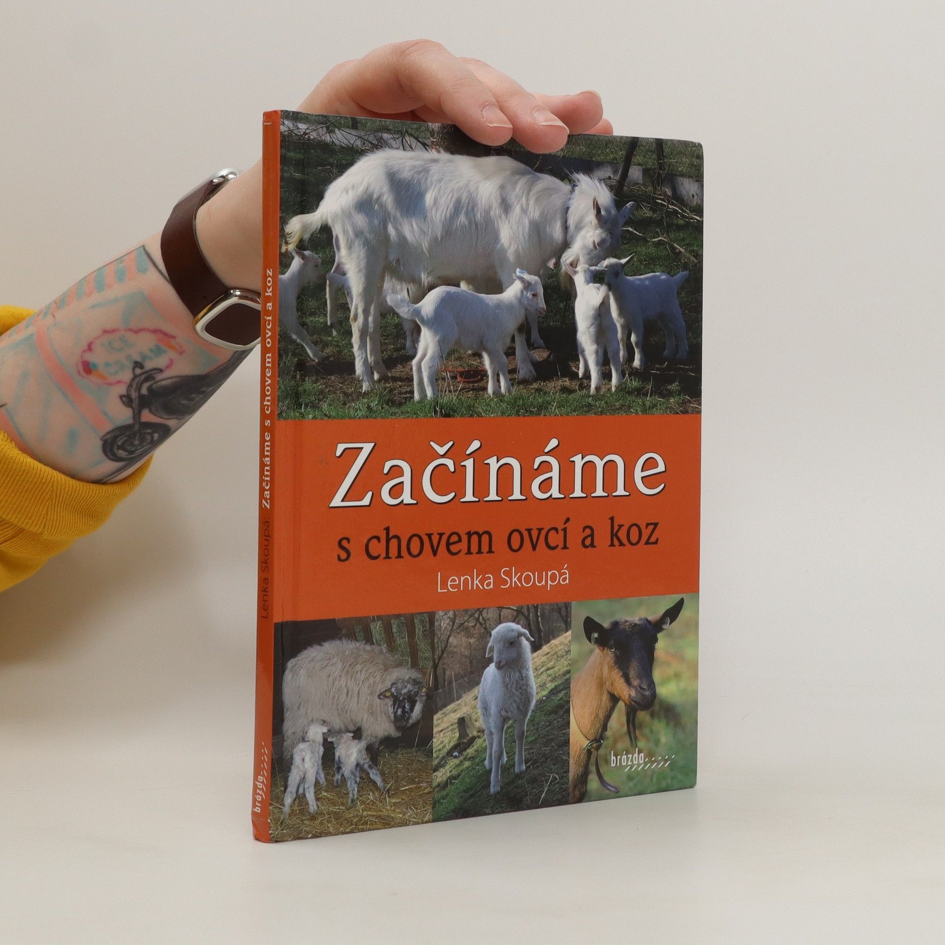 Lenka Skoupá Začínáme s chovem ovcí a koz
