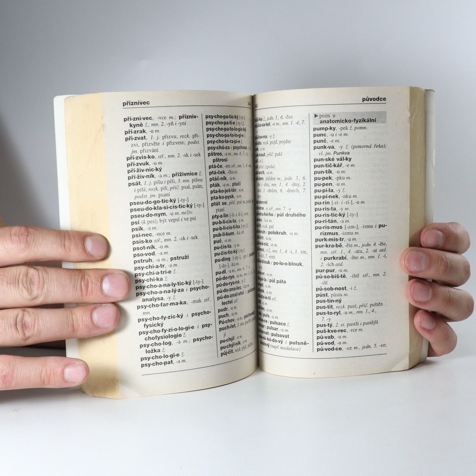 Autorenkollektiv Pravidla českého pravopisu pro školní rok 1998/99