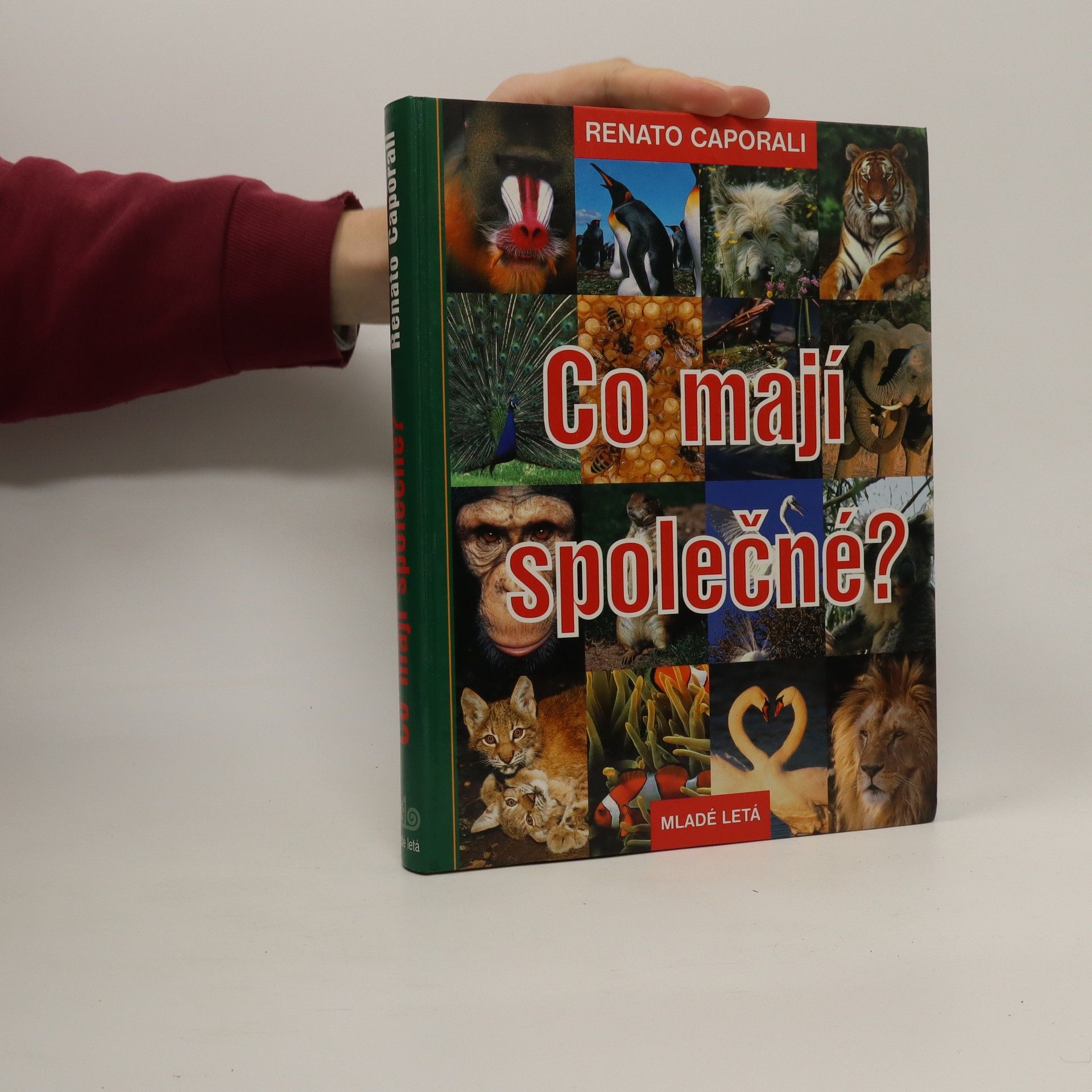 Renato Caporali Co mají společné?