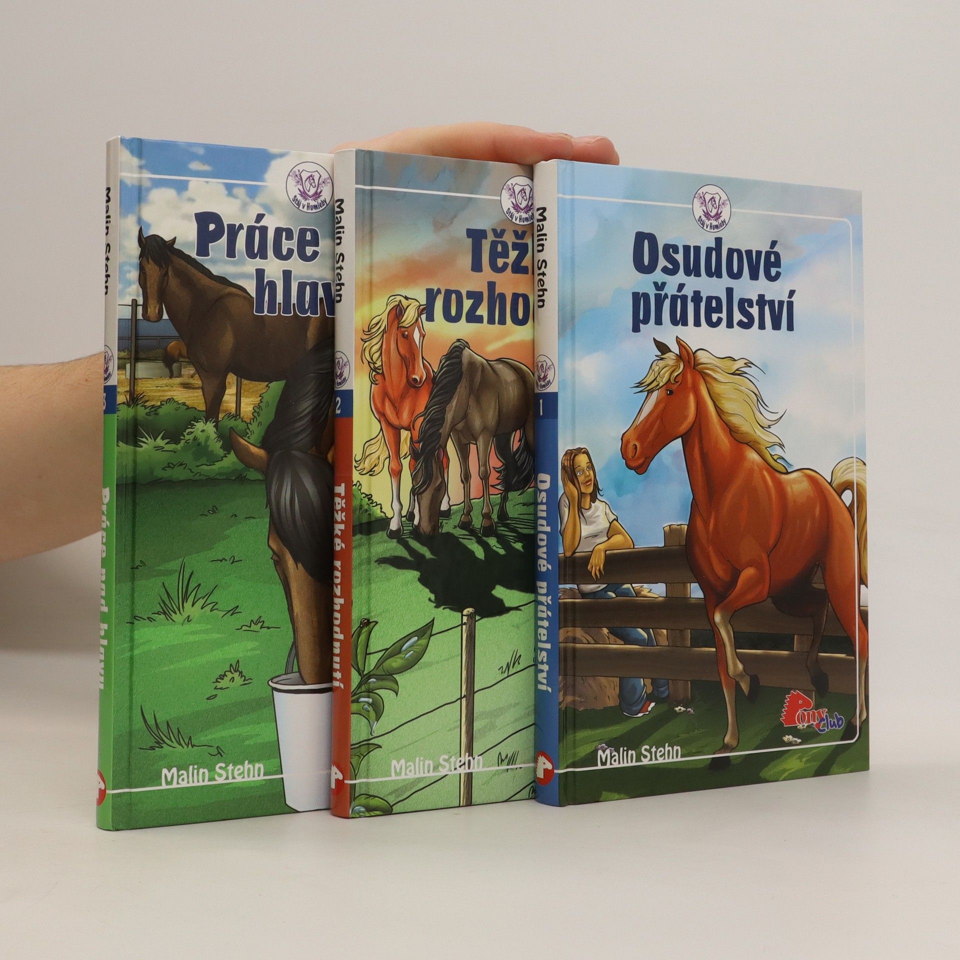 Malin Stehn Osudové přátelství. Těžké rozhodnutí. Práce nad hlavu