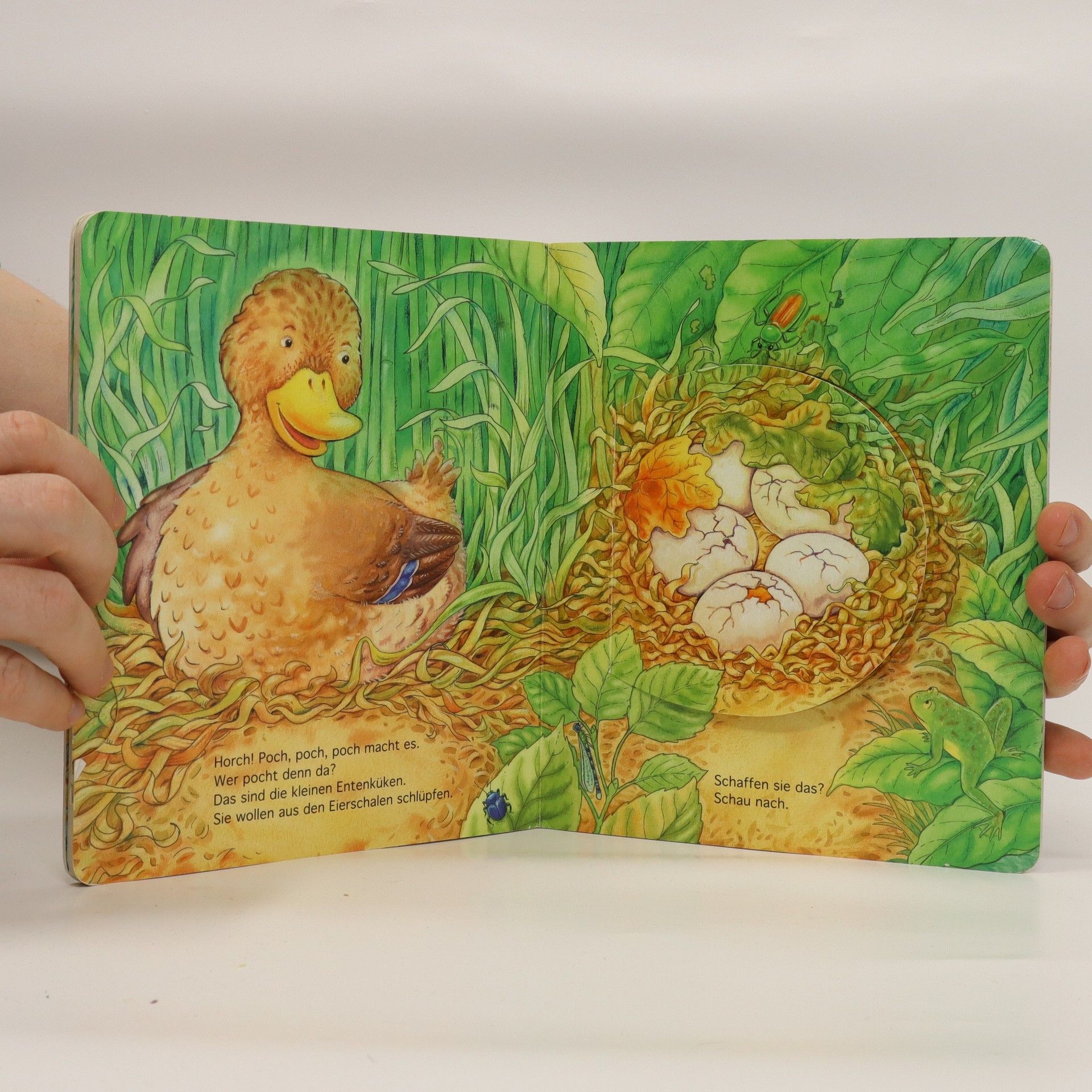 Autorenkollektiv Entdecke die Tiere: Die kleine Ente