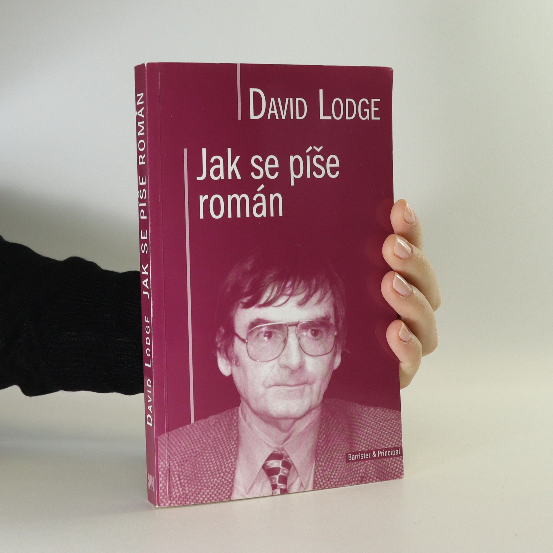 David Lodge Jak se píše román