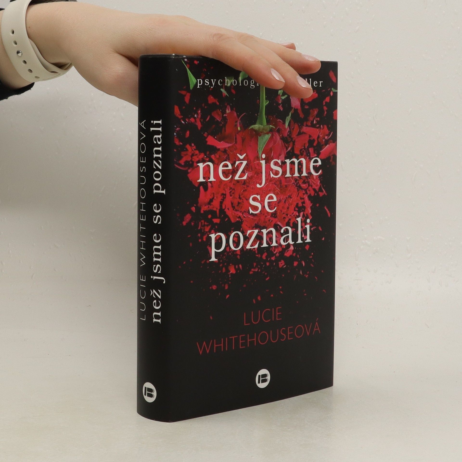 Lucie Whitehouse Než jsme se poznali