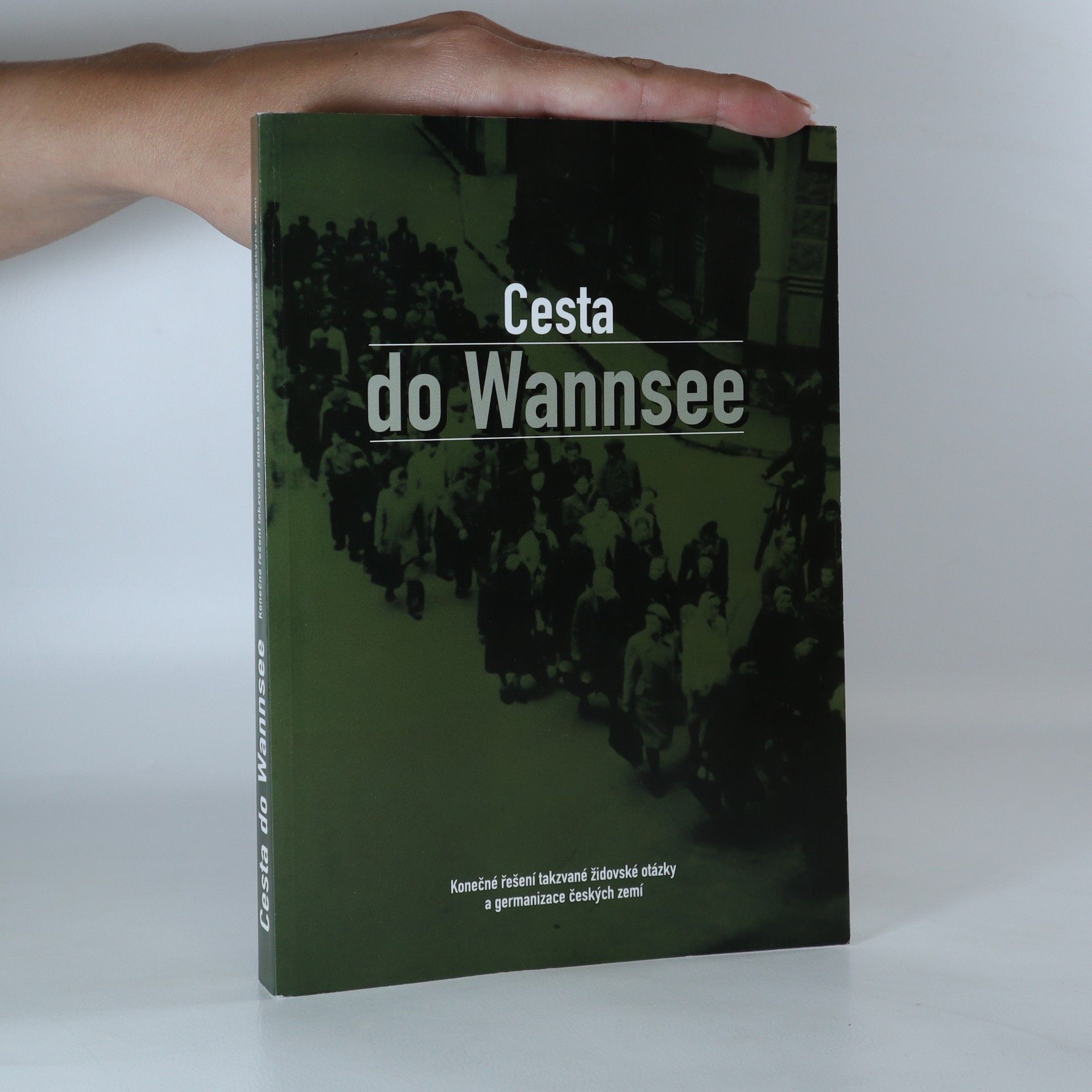 Richard Seemann Cesta do Wannsee. Konečné řešení takzvané židovské otázky a germanizace českých zemí.