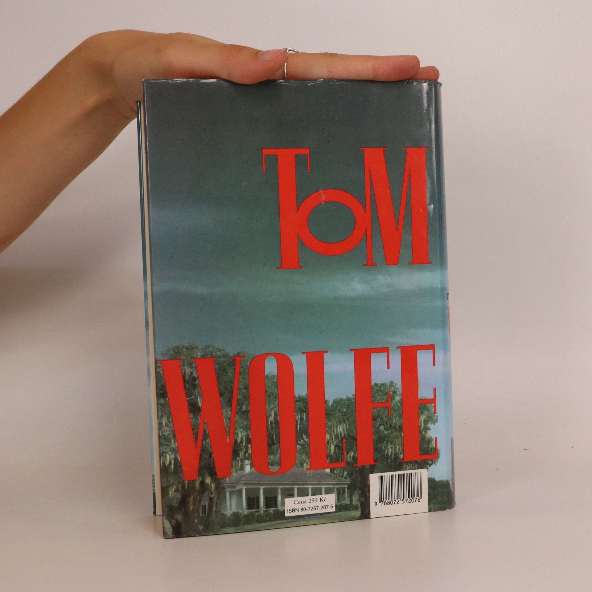 Tom Wolfe Muž na vrcholu