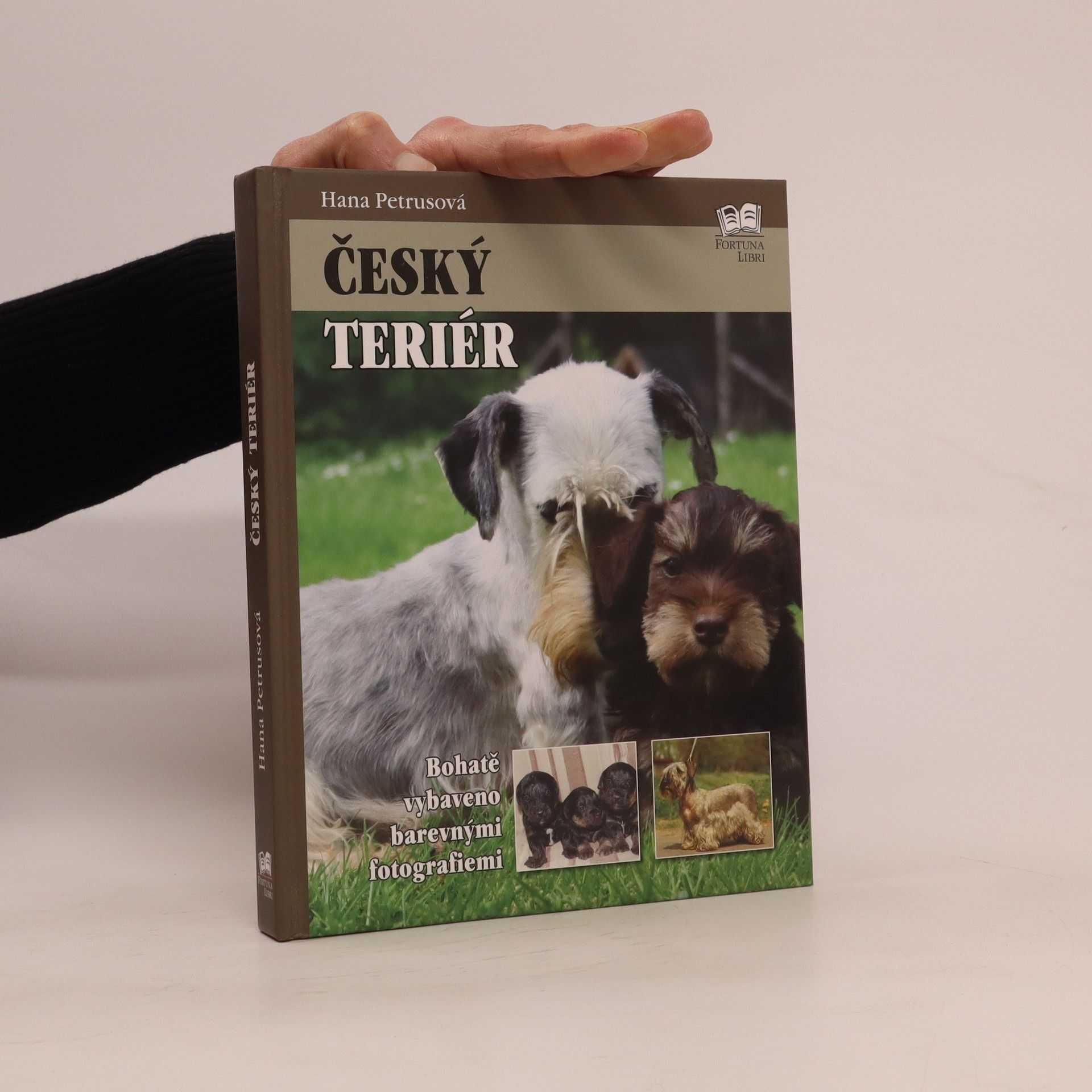 Hana Petrusová Český teriér