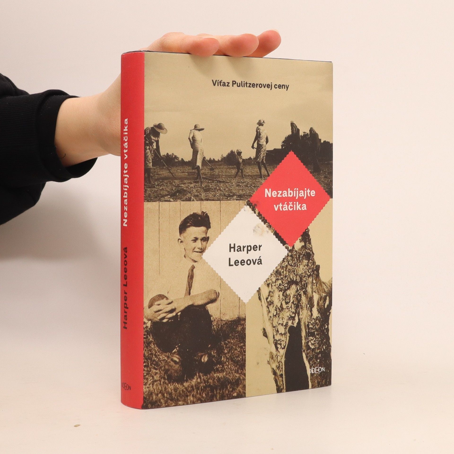 Harper Lee Nezabíjajte vtáčika