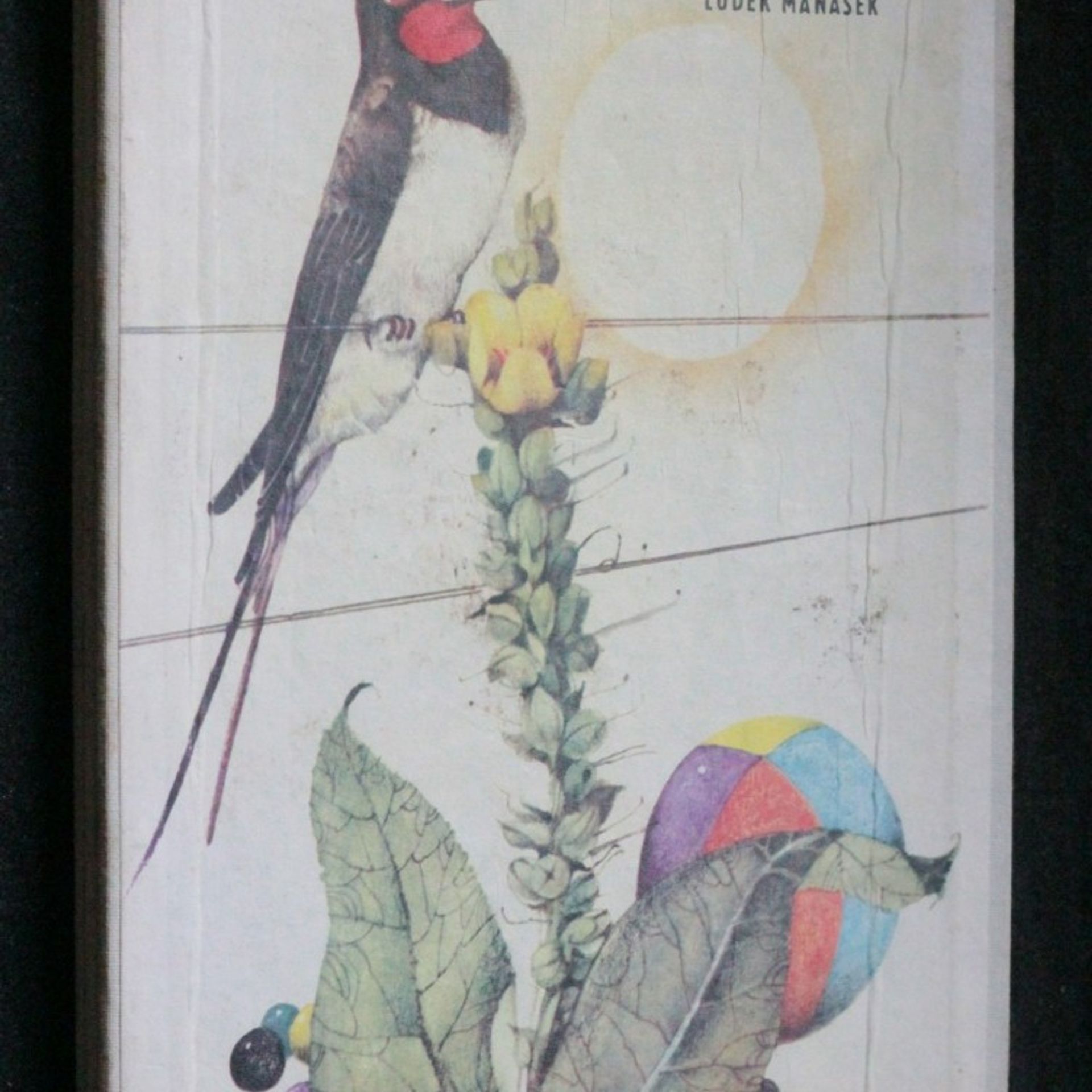 Kolektiv autorů Haló, tady jaro!