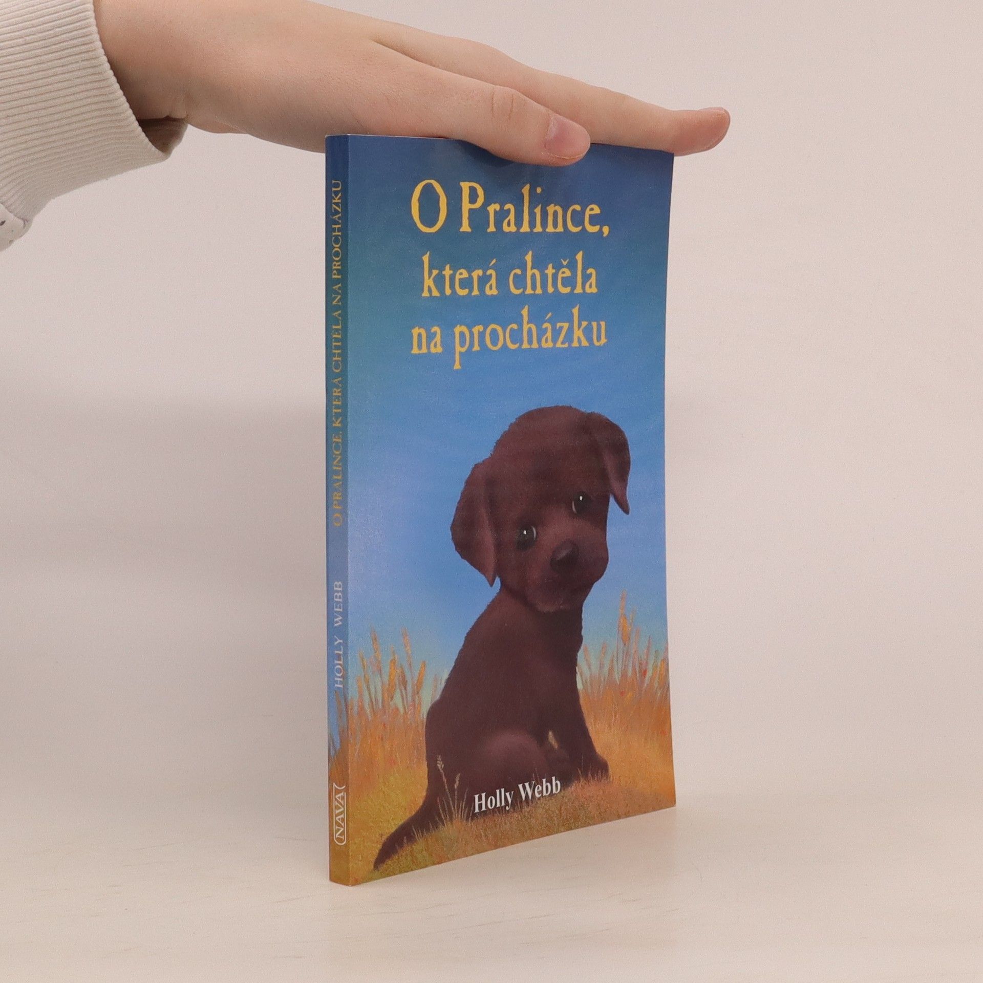 Holly Webb O Pralince, která chtěla na procházku