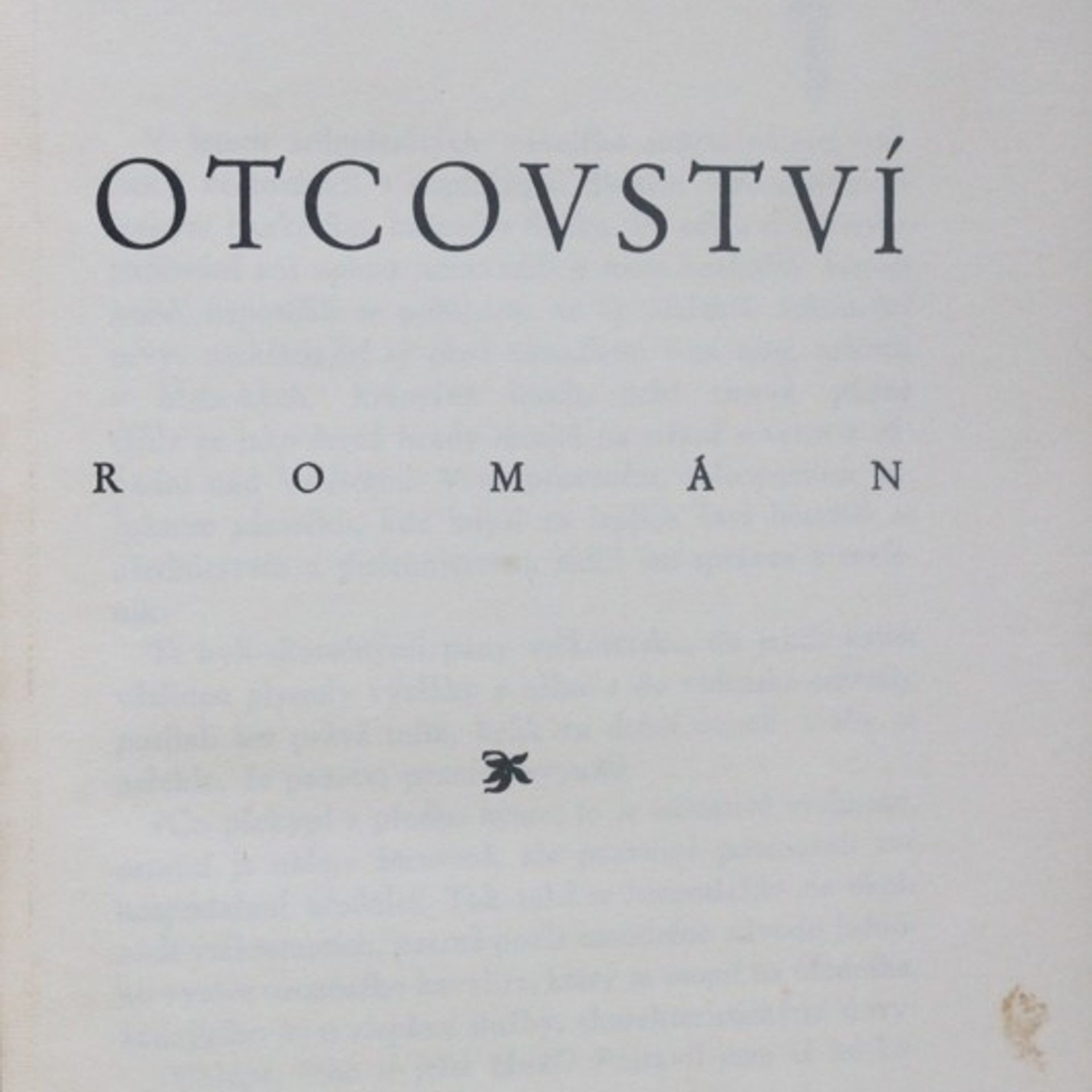 Otcovství : Román