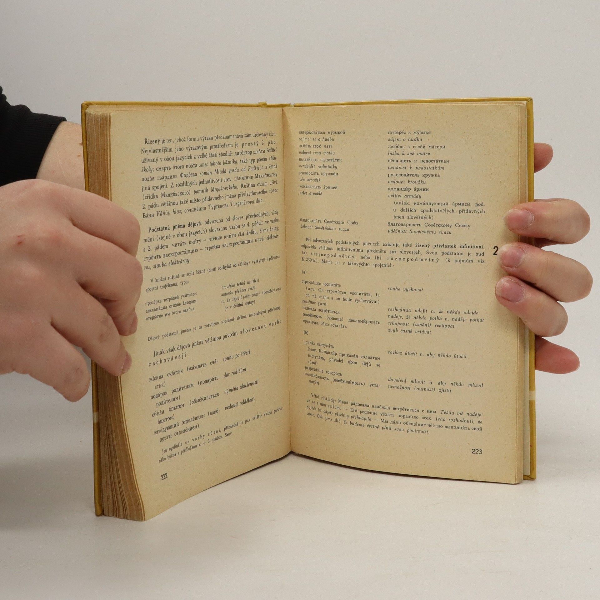Various authors Školní mluvnice ruského jazyka