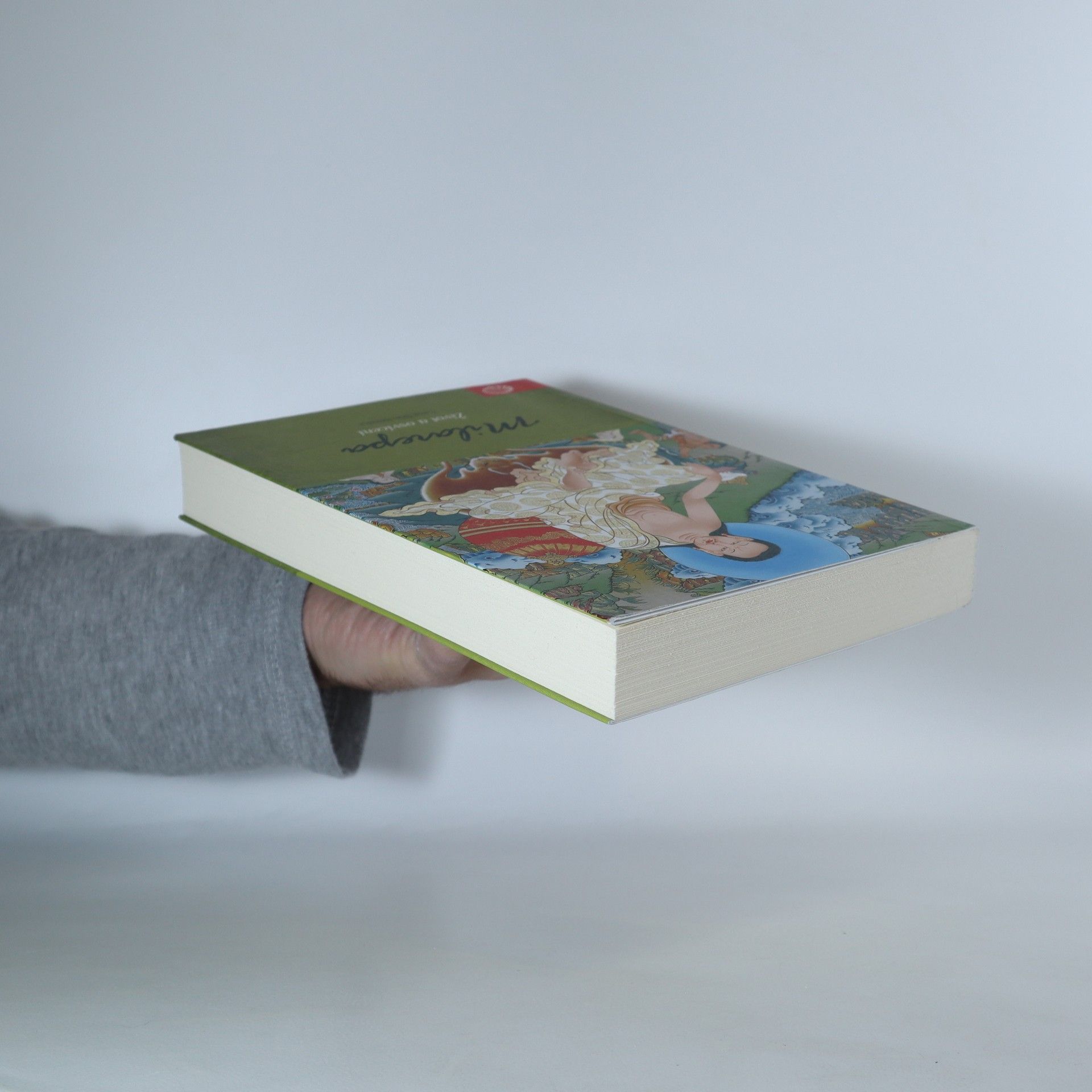 Cang Ňön Héruka Milarepa. Život a osvícení