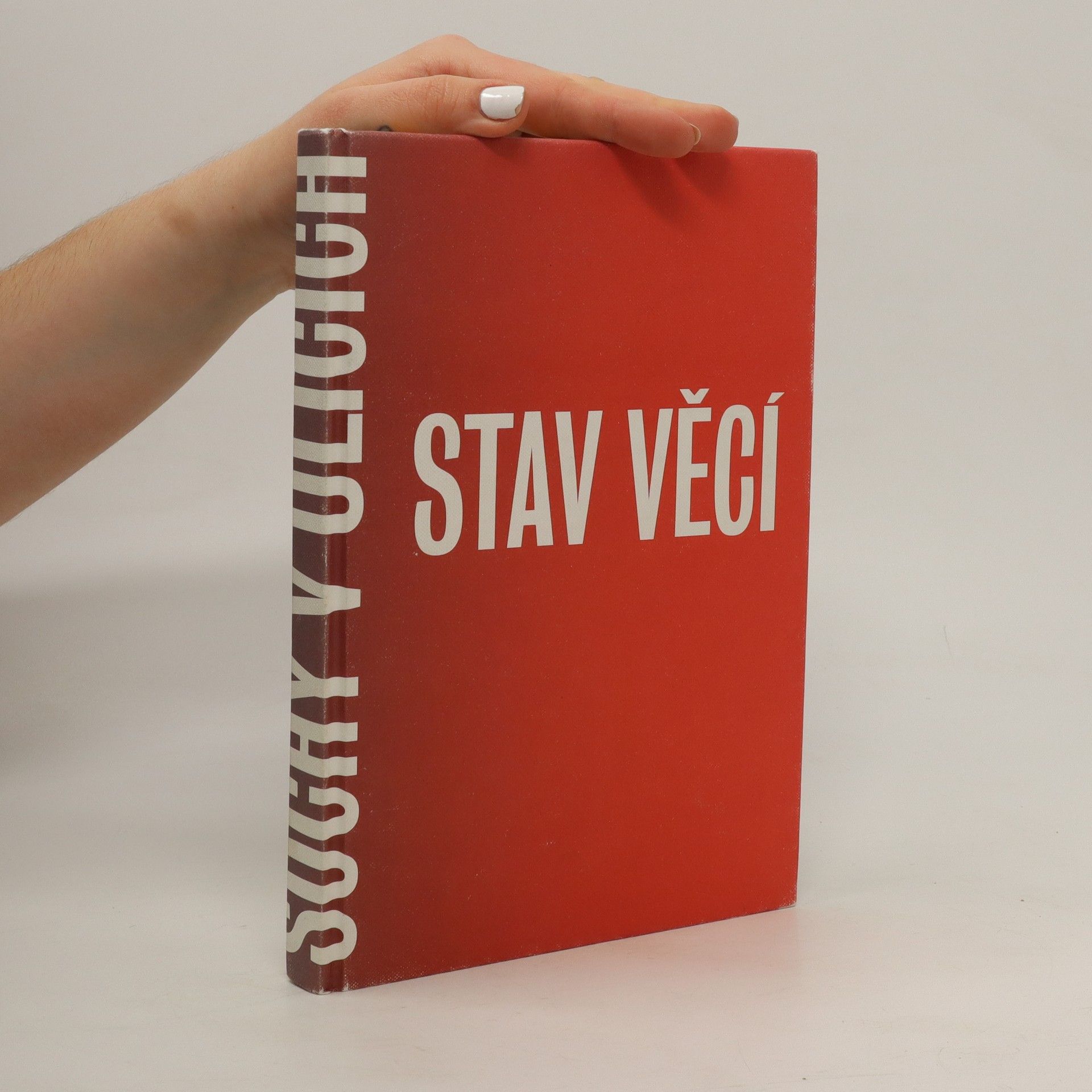 Karel Císař Stav věcí - Sochy v ulicích