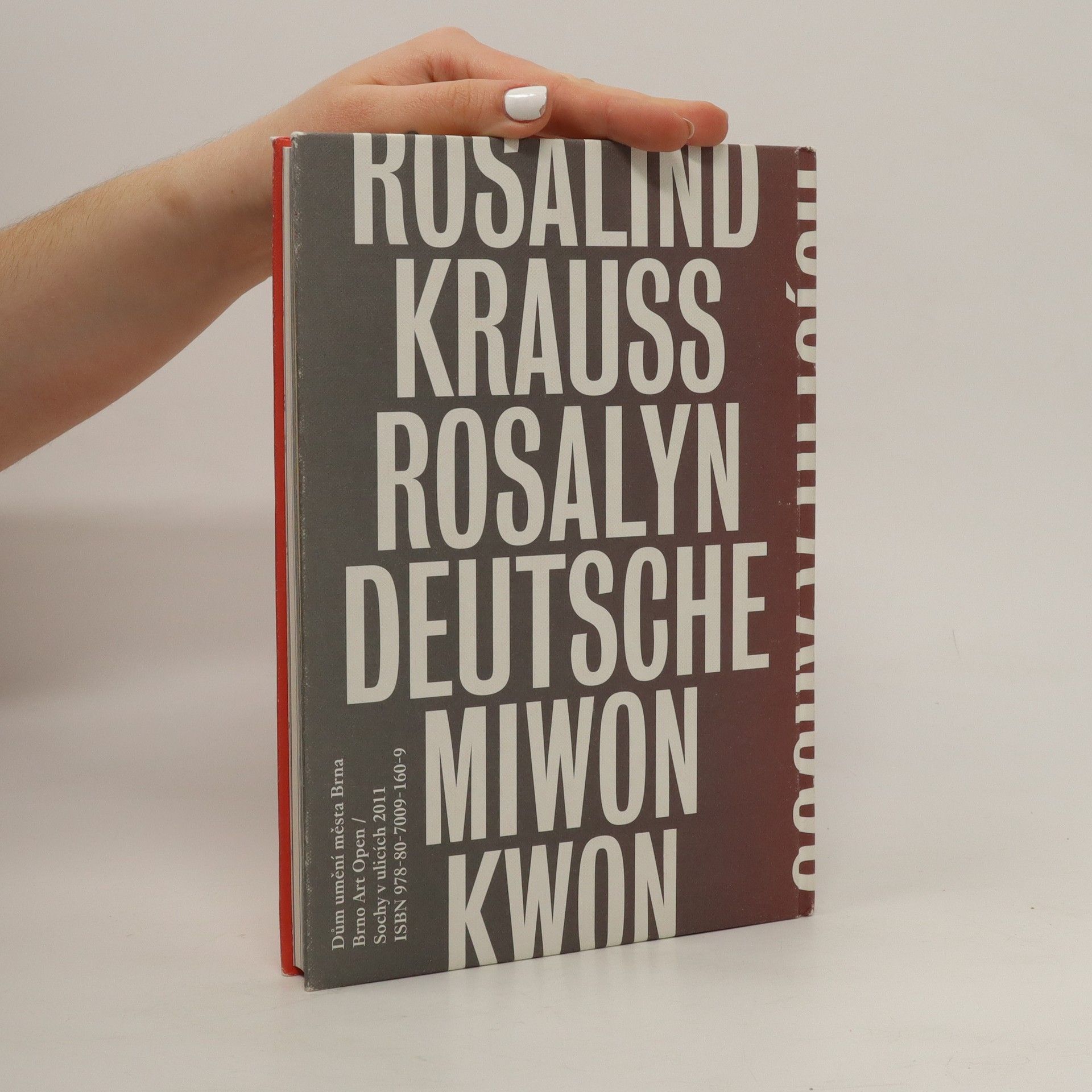 Karel Císař Stav věcí - Sochy v ulicích