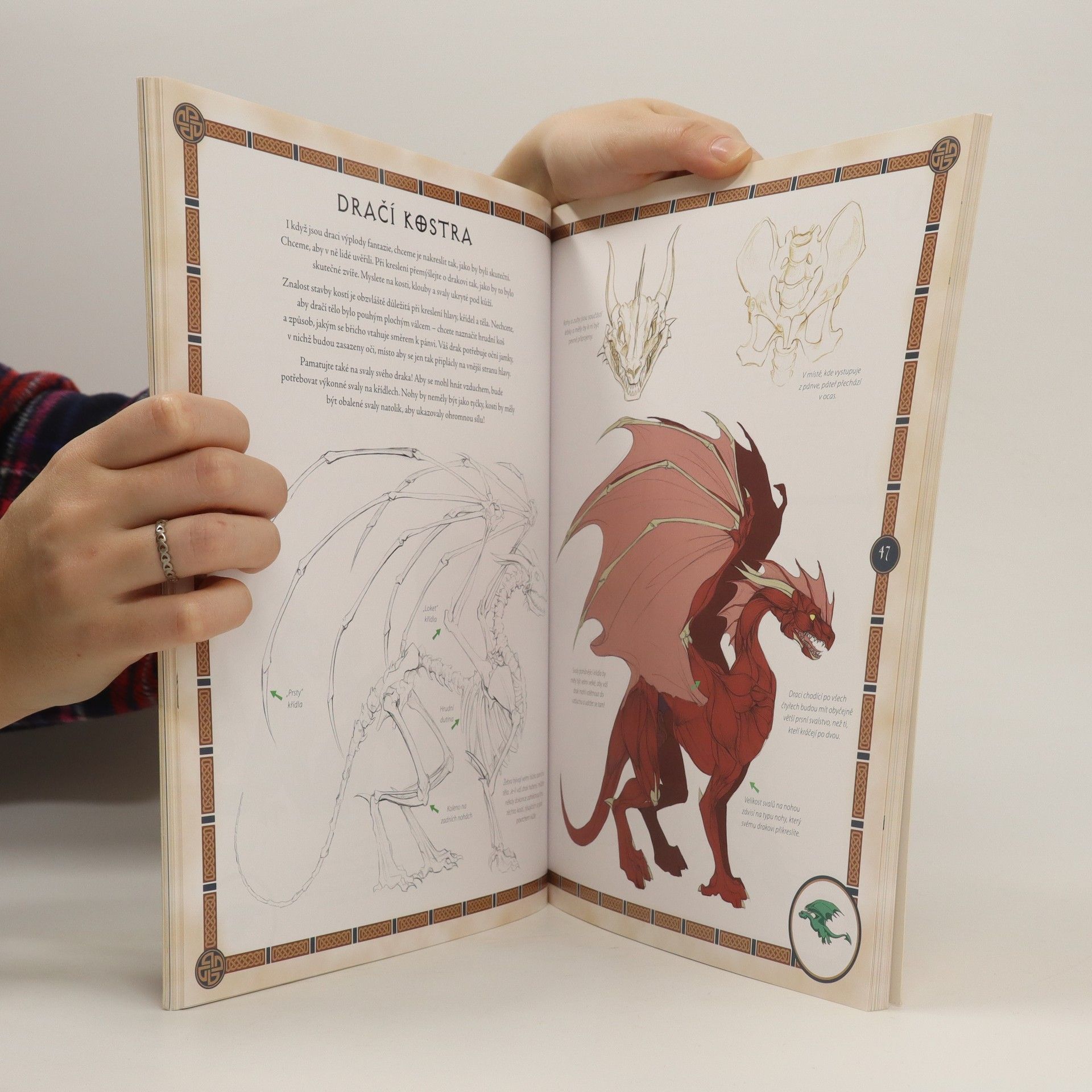 Jessica Peffer Draci. Jak nakreslit fantasy draky a fantasy příšery