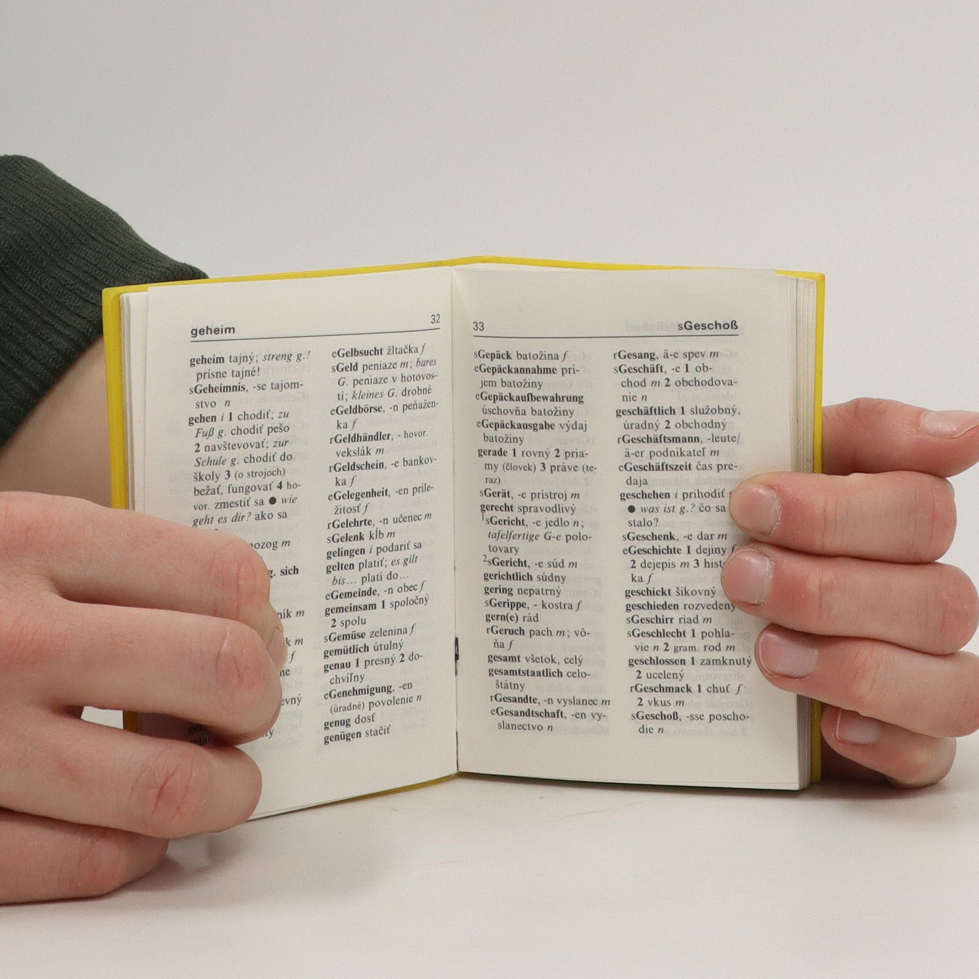 Autorenkollektiv Slovensko - Německý slovník