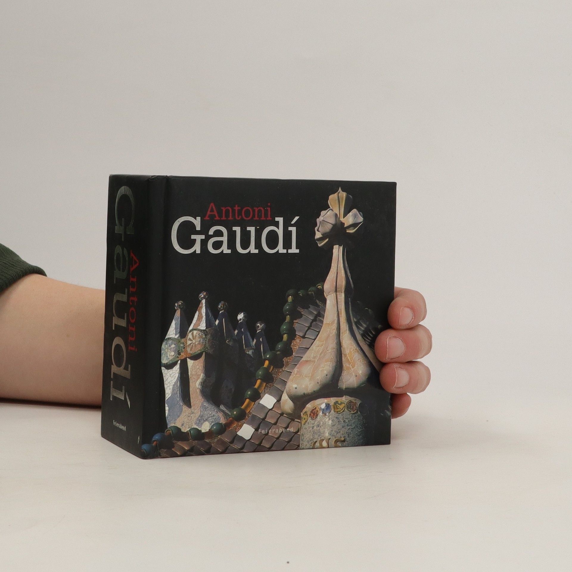 Aurora Cuito Gaudí : obra completa, complete works