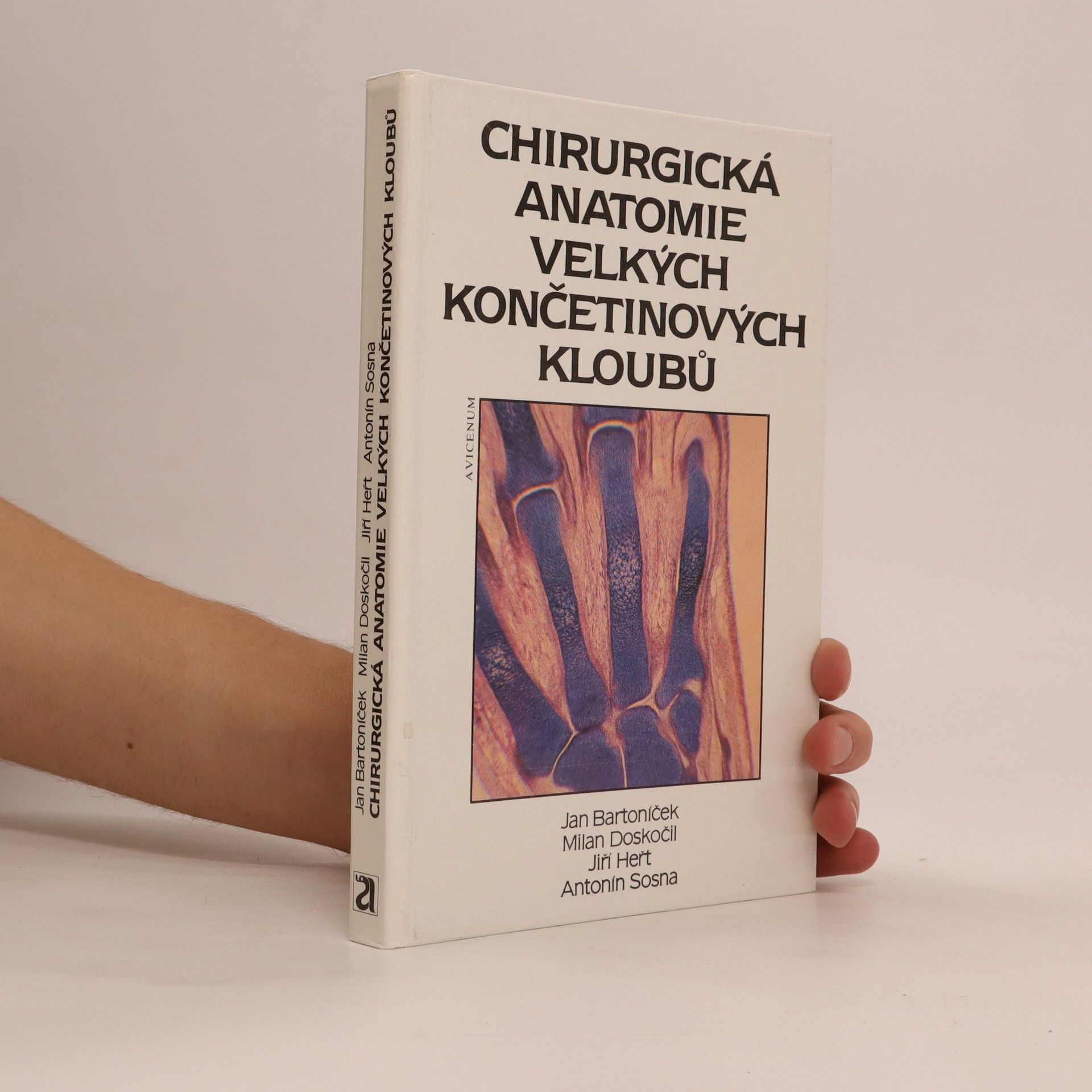 Jan Bartoníček Chirurgická anatomie velkých končetinových kloubů