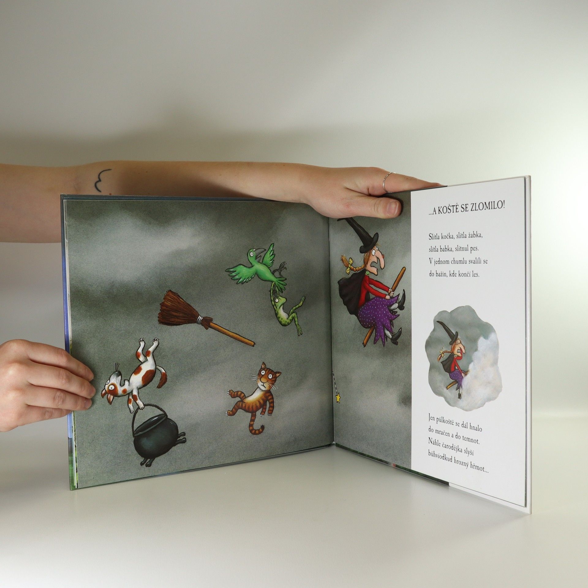 Julia Donaldson Všichni letí na koštěti