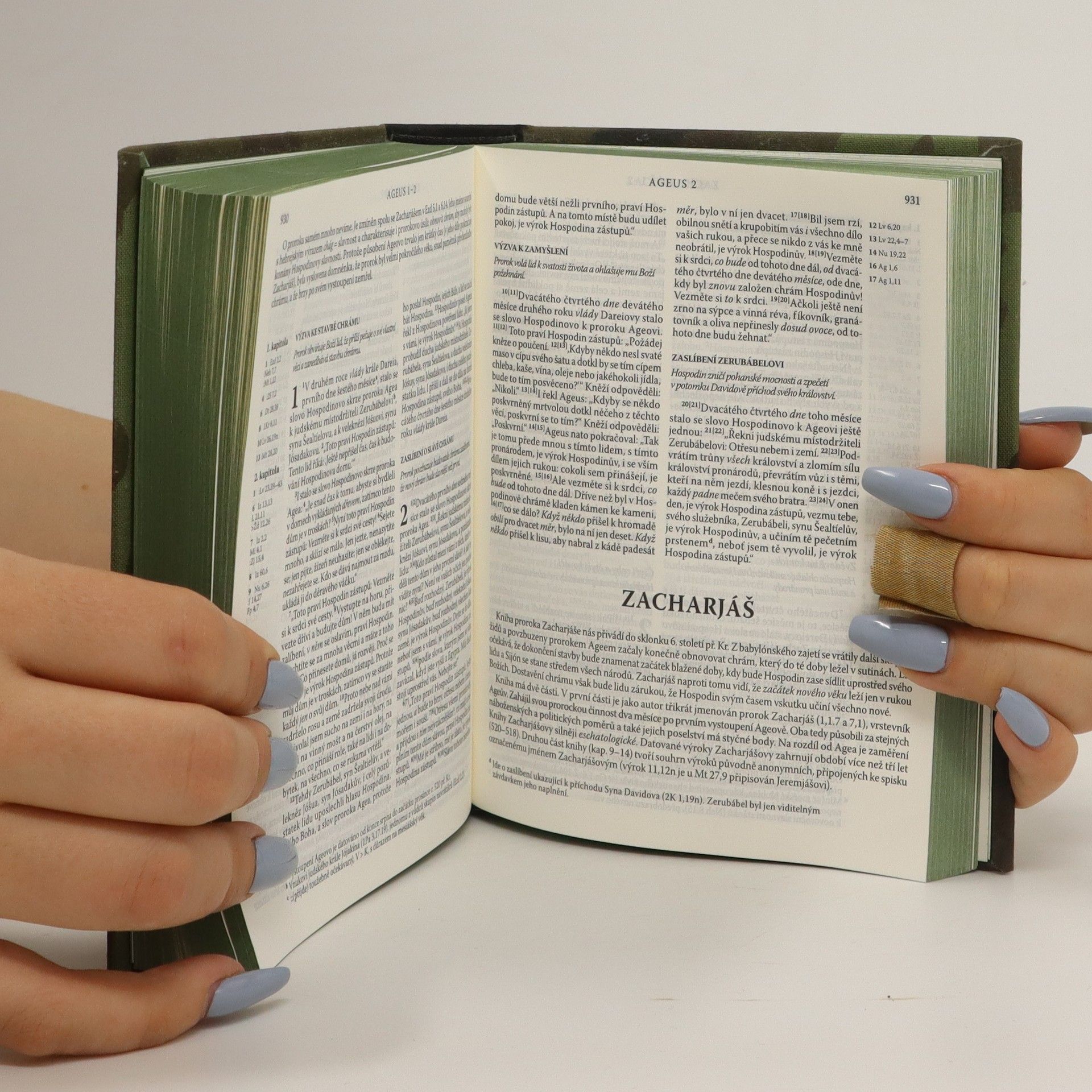 Collectif d'auteurs Bible