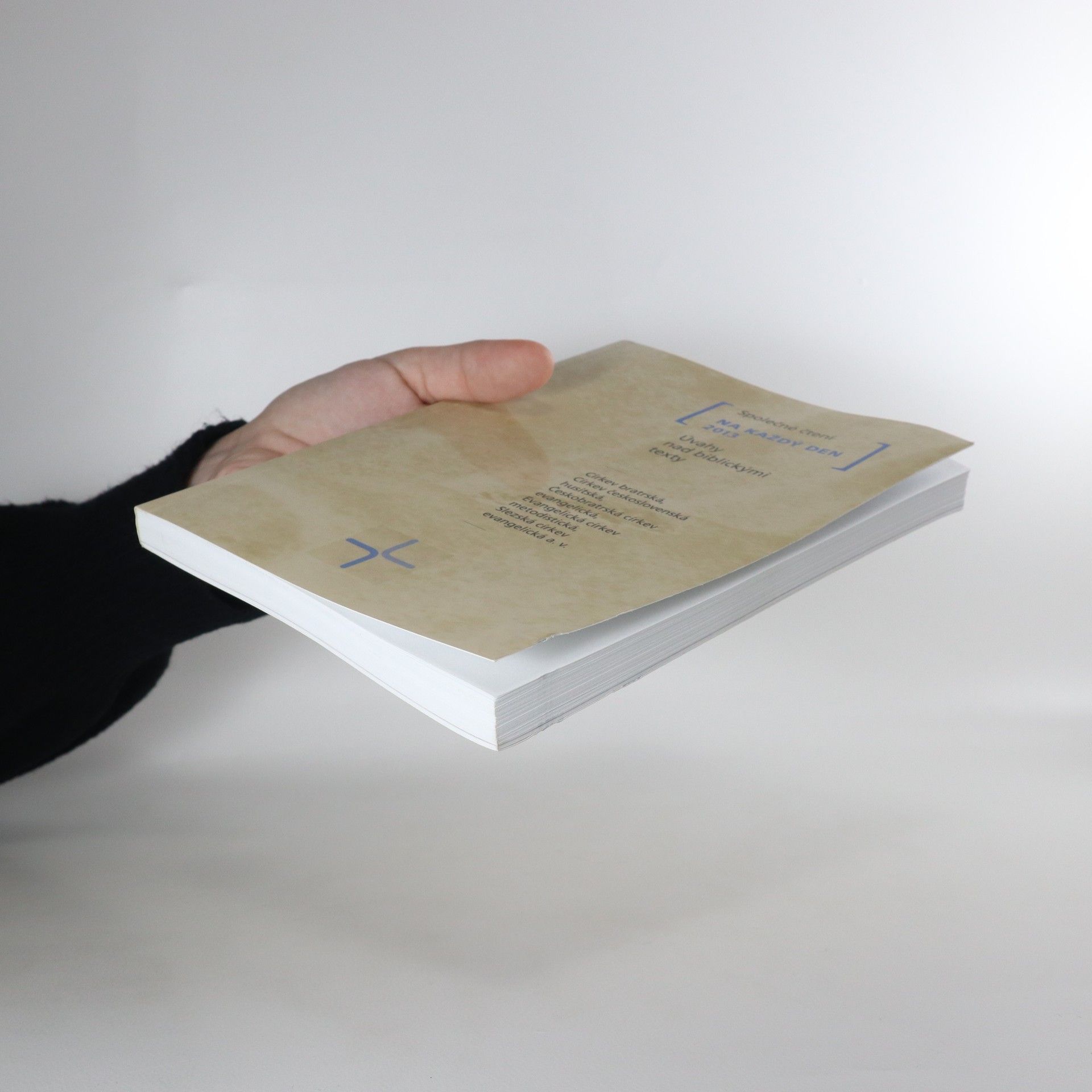 Kolektiv autorů Společné čtení na každý den 2013. Úvahy nad biblickými texty.