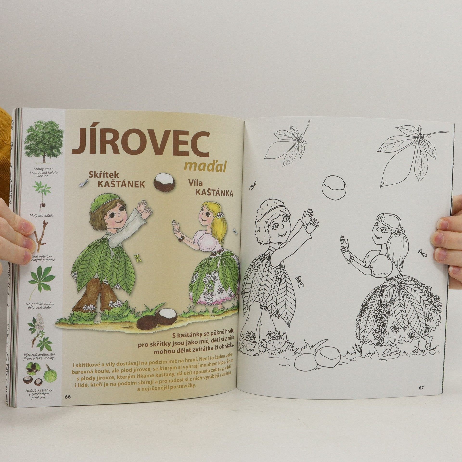 Miroslava Michnová Tajemství šumavských stromů