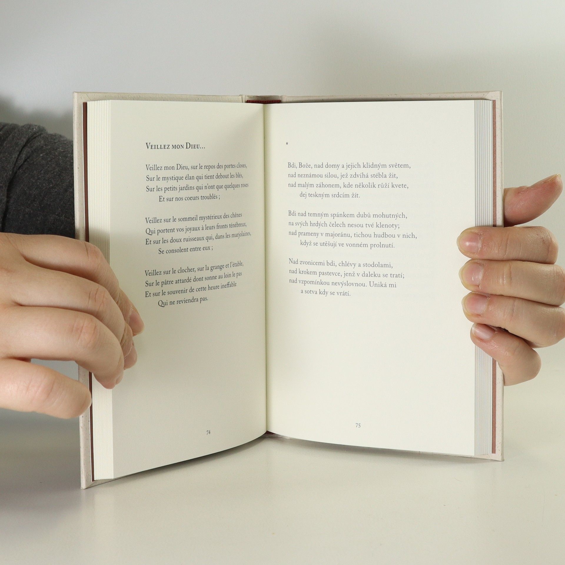 Suzanne Renaud Tušený úsvit. L'aurore invisible