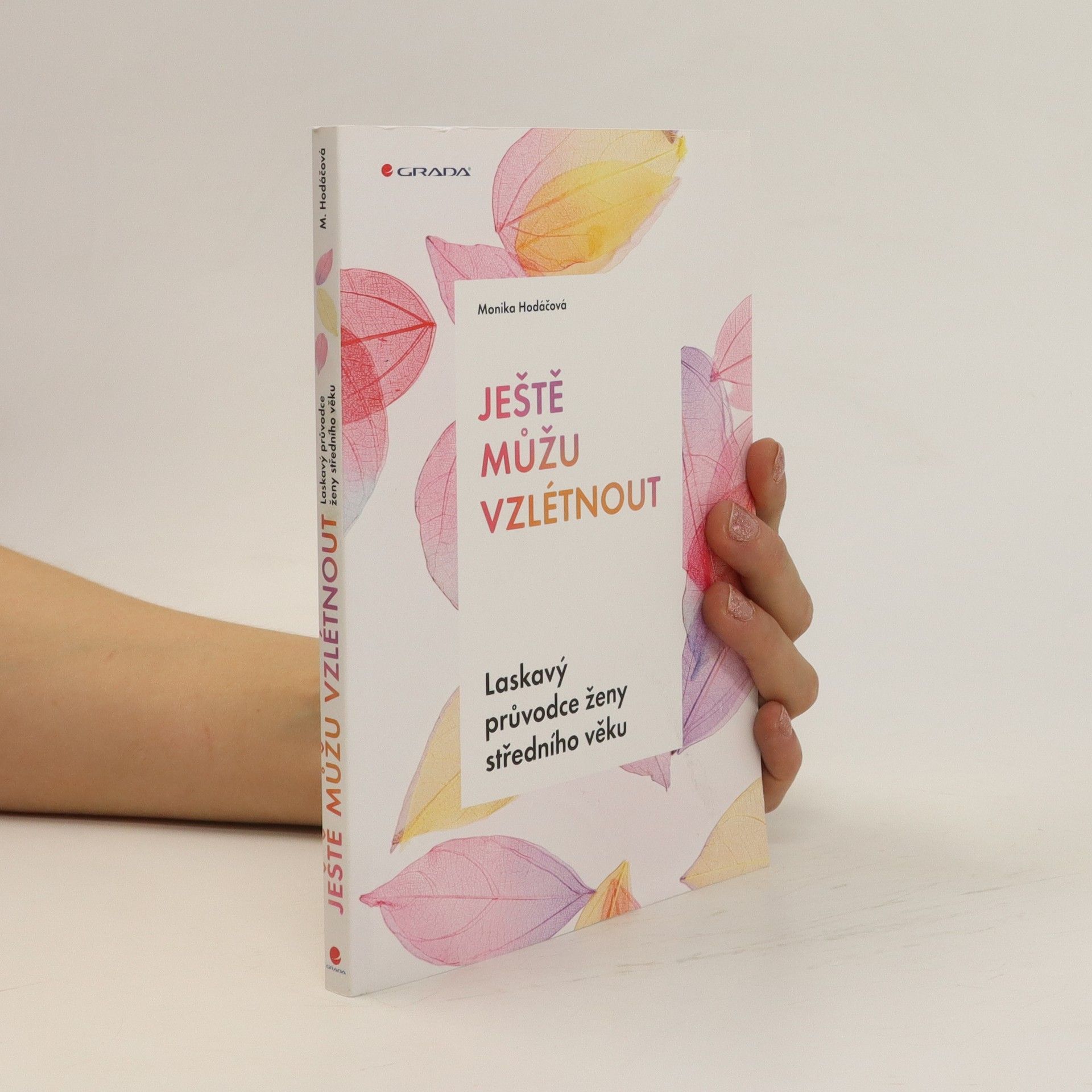 Monika Hodáčová Ještě můžu vzlétnout