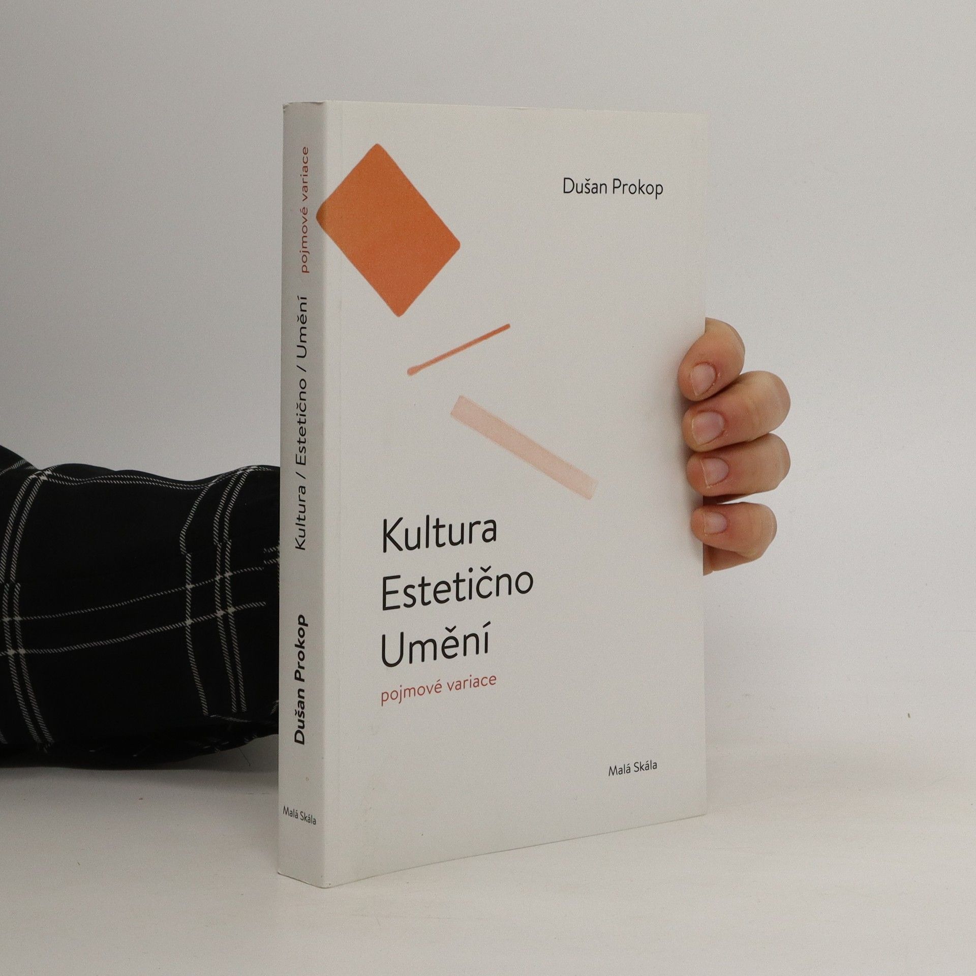 Dušan Prokop Kultura, estetično, umění : pojmové variace