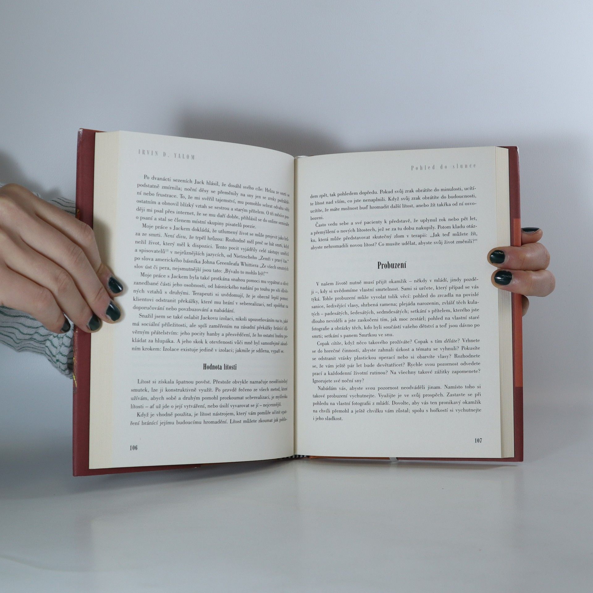 Irvin D. Yalom Pohled do slunce