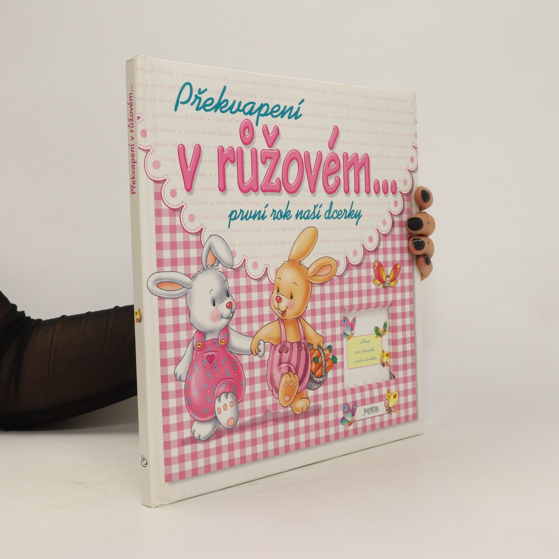 Auteurscollectief Překvapení v růžovém; první rok naší dcerky