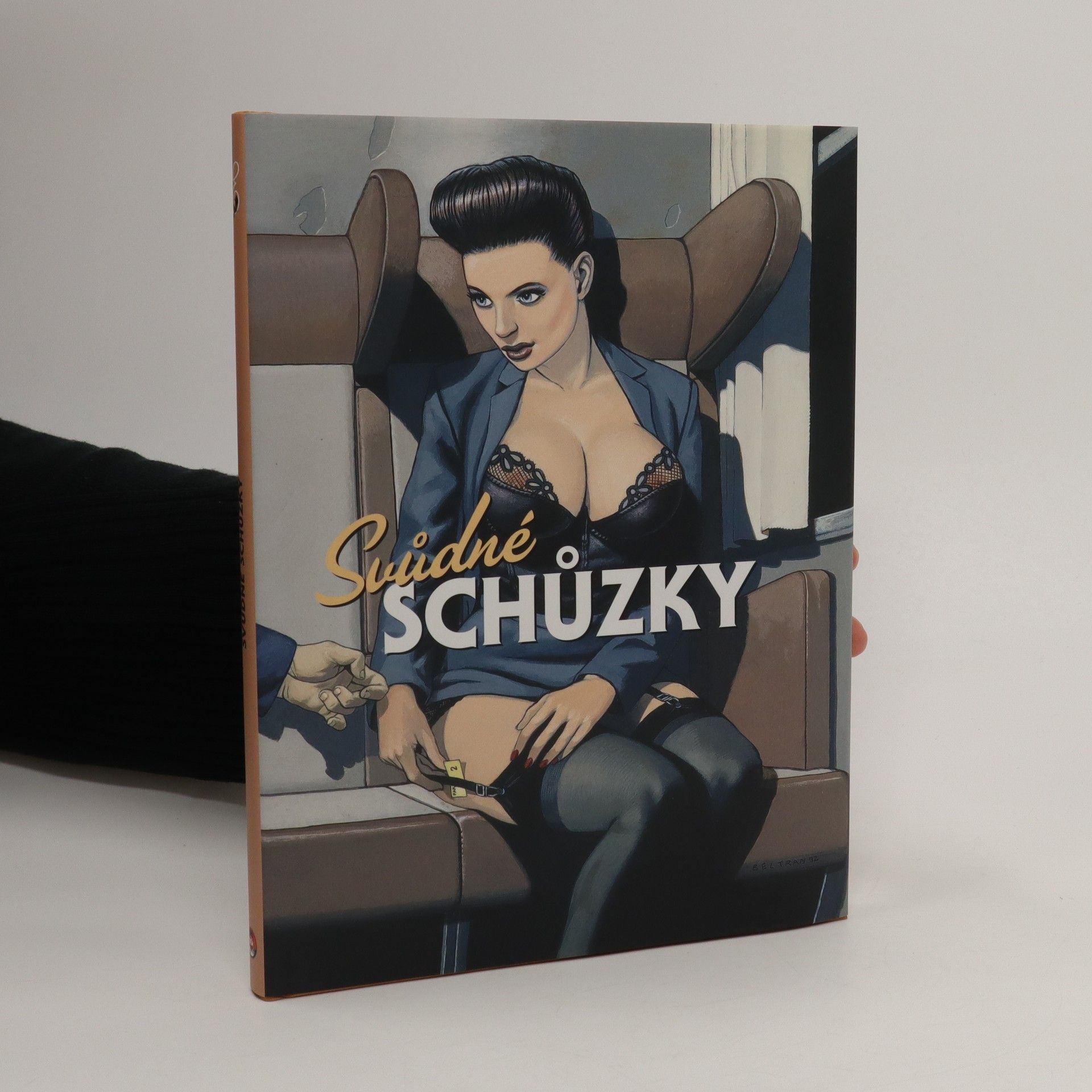 Kolektiv autorů Svůdné schůzky