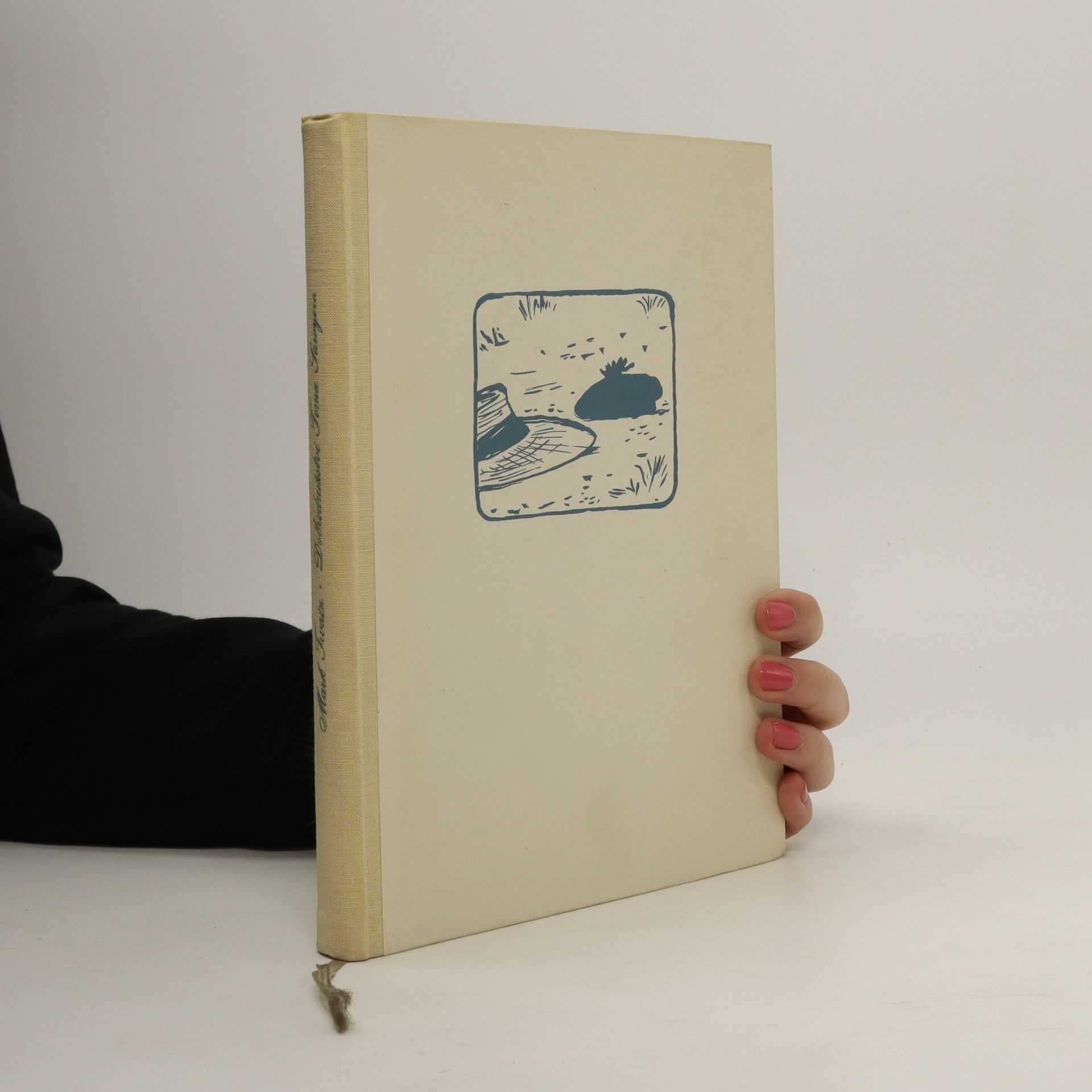 Mark Twain Dobrodružství Toma Sawyera