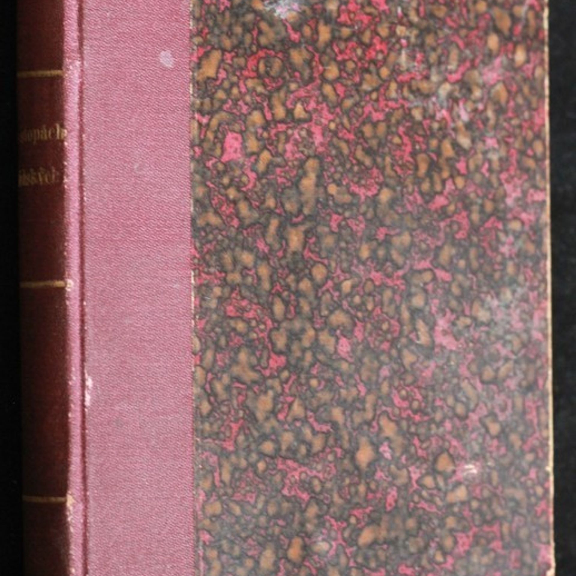 Alois Dostál Po stopách lidských : Povídky